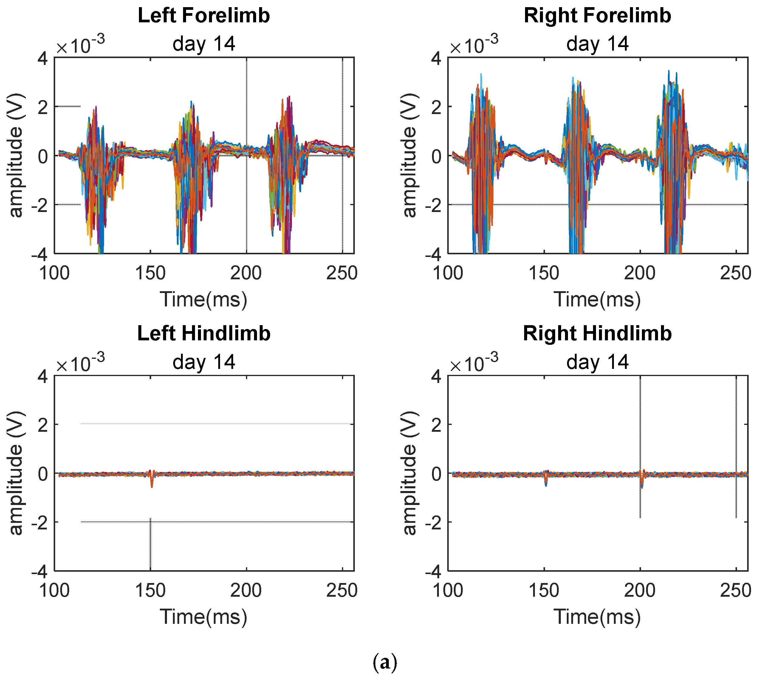 Biomedicines 12 02548 g005a