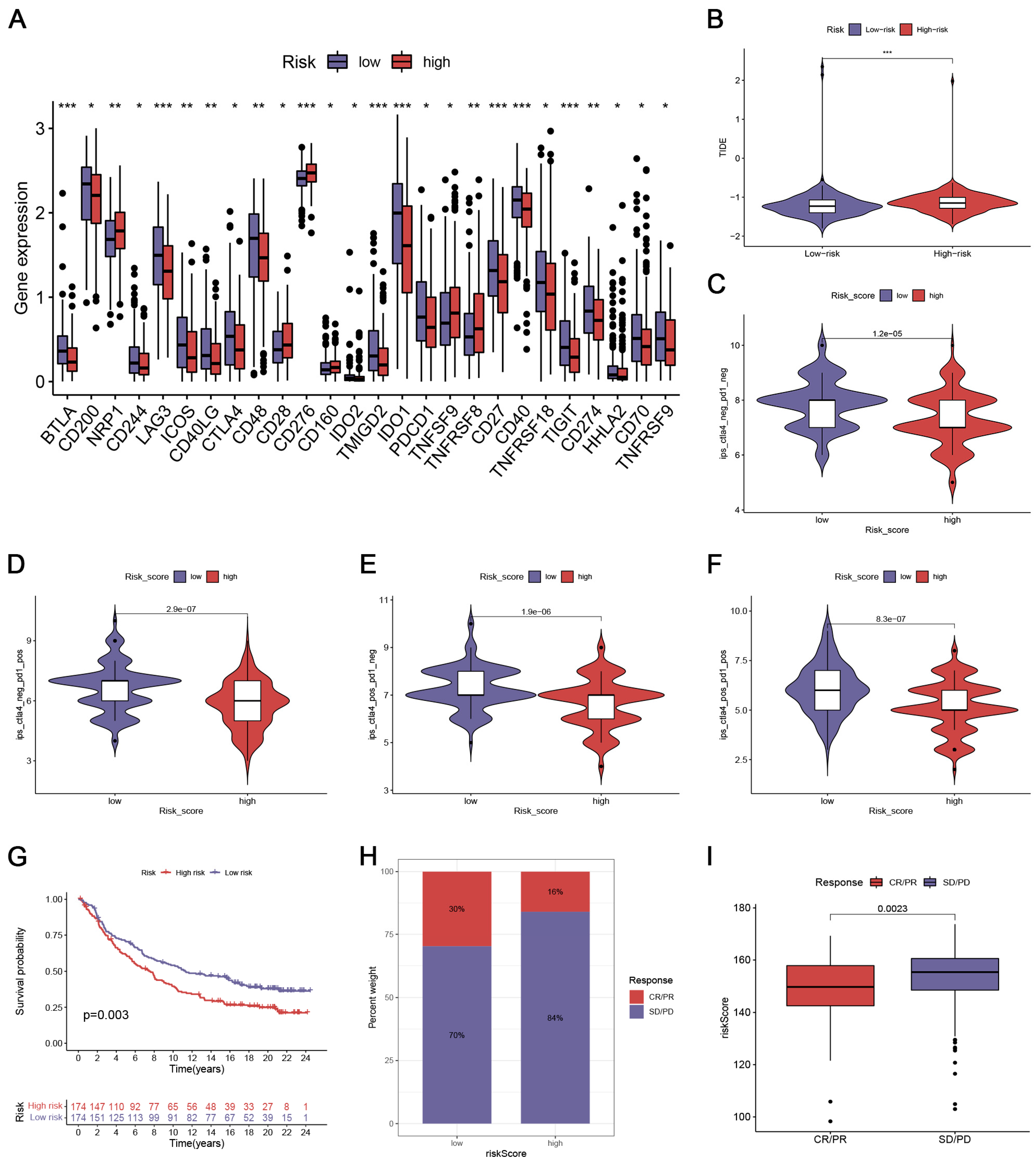 Biomedicines 12 02640 g005