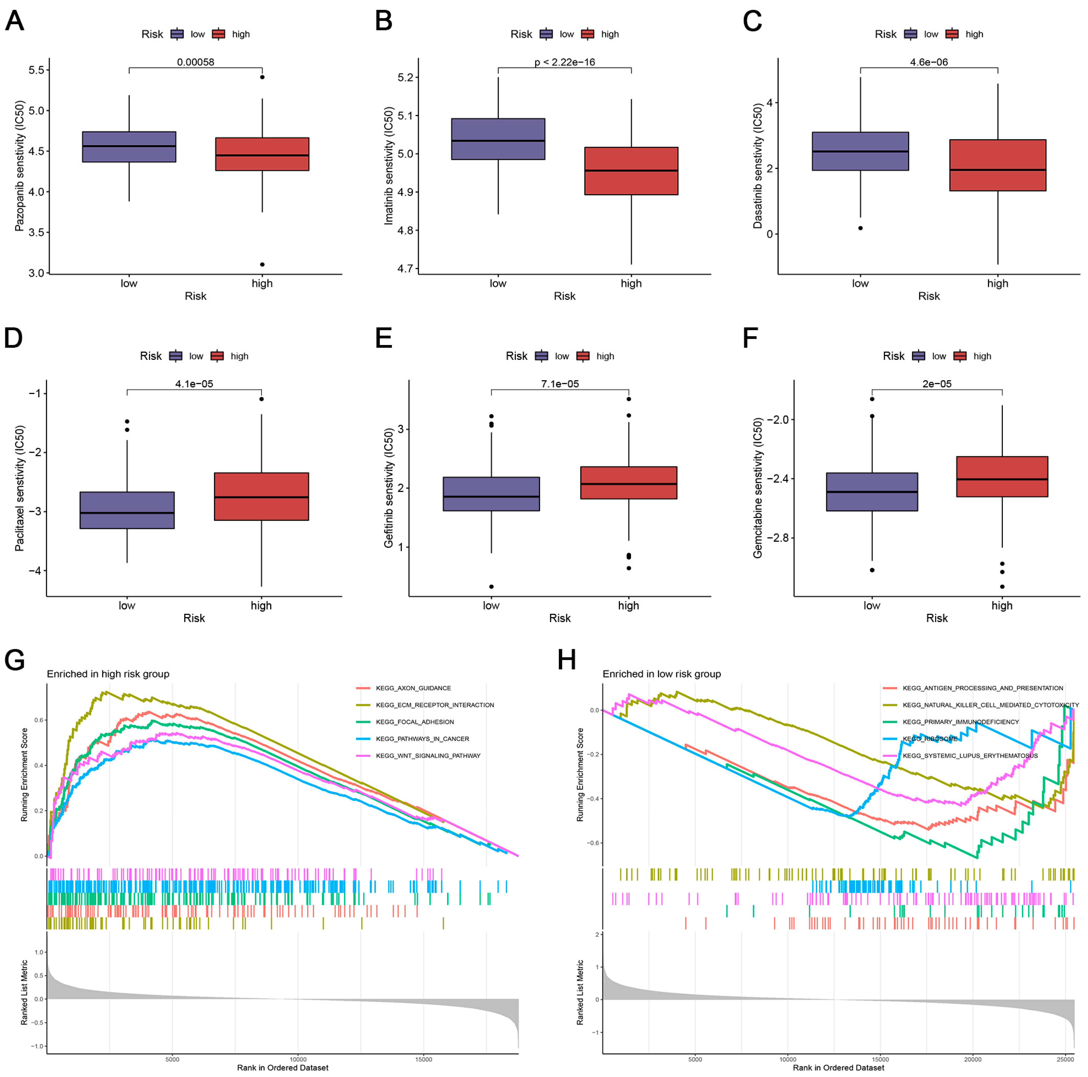 Biomedicines 12 02640 g007
