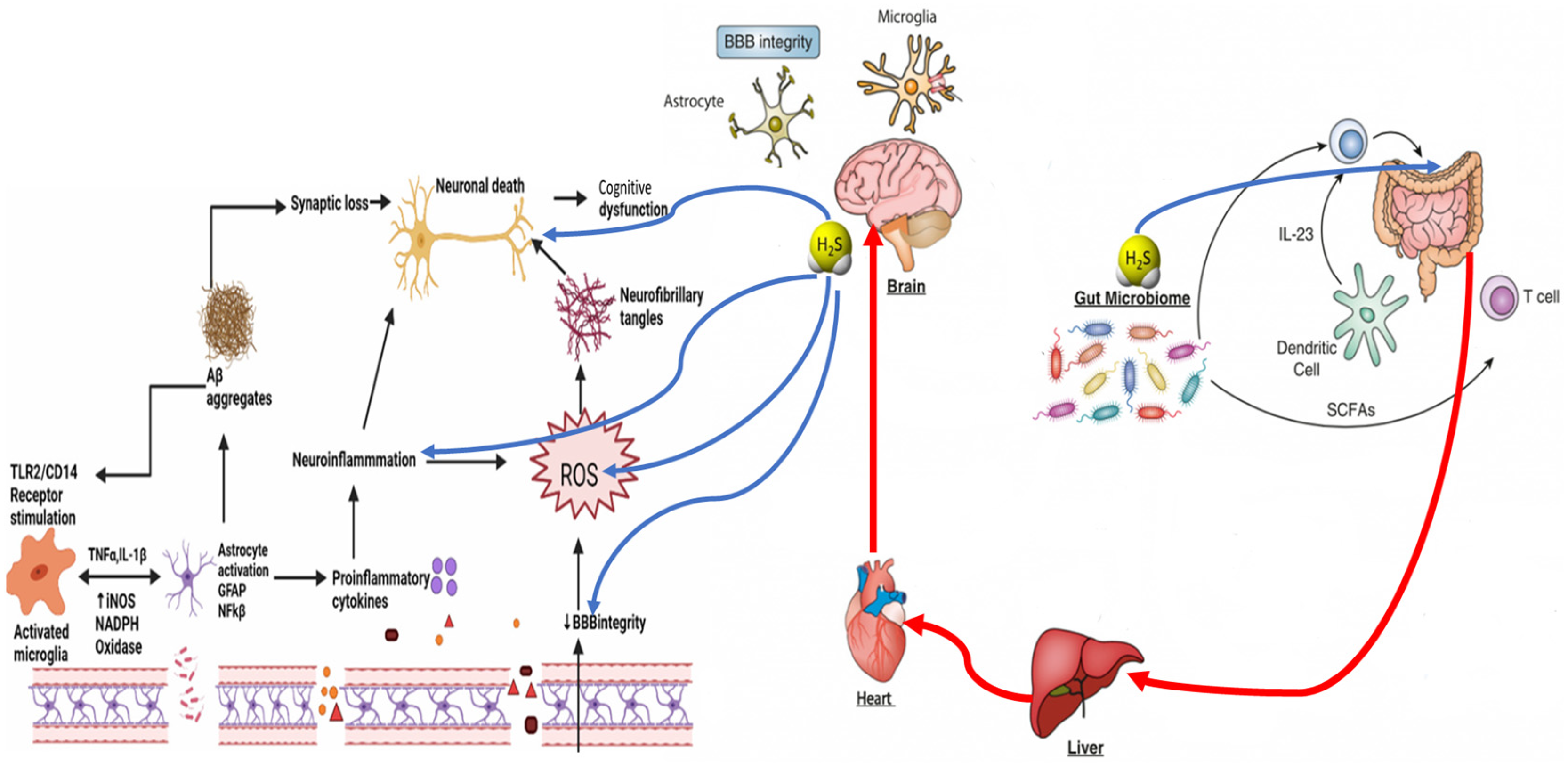 Biomedicines 12 02670 g001