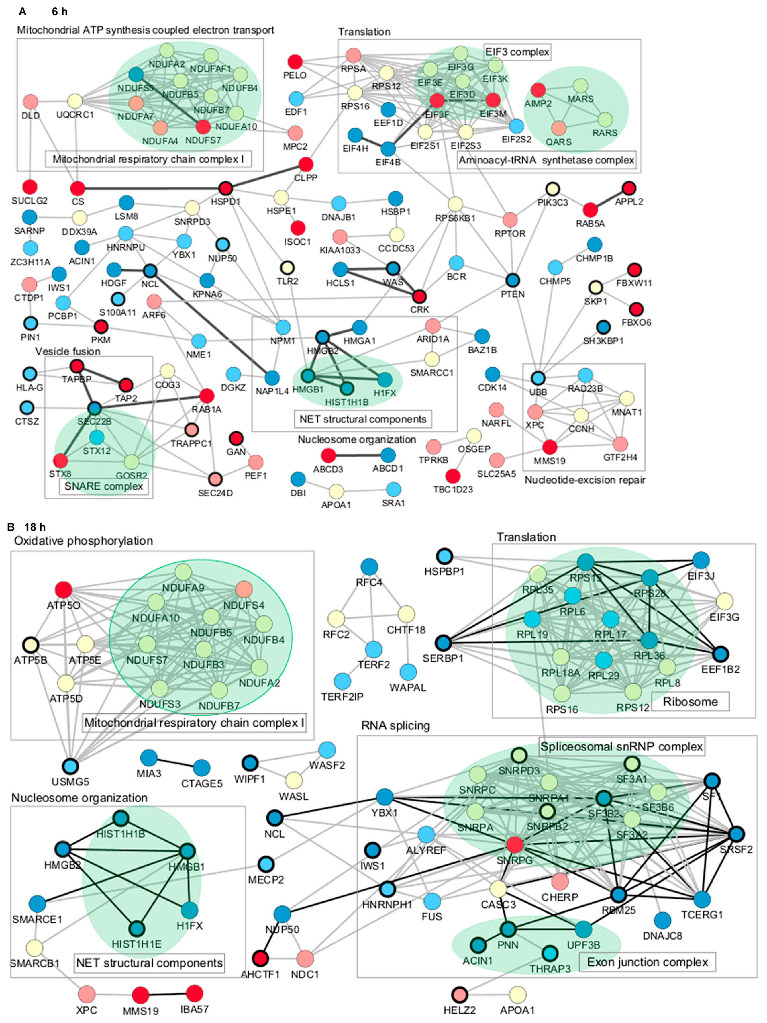 Biomedicines 12 02740 g004