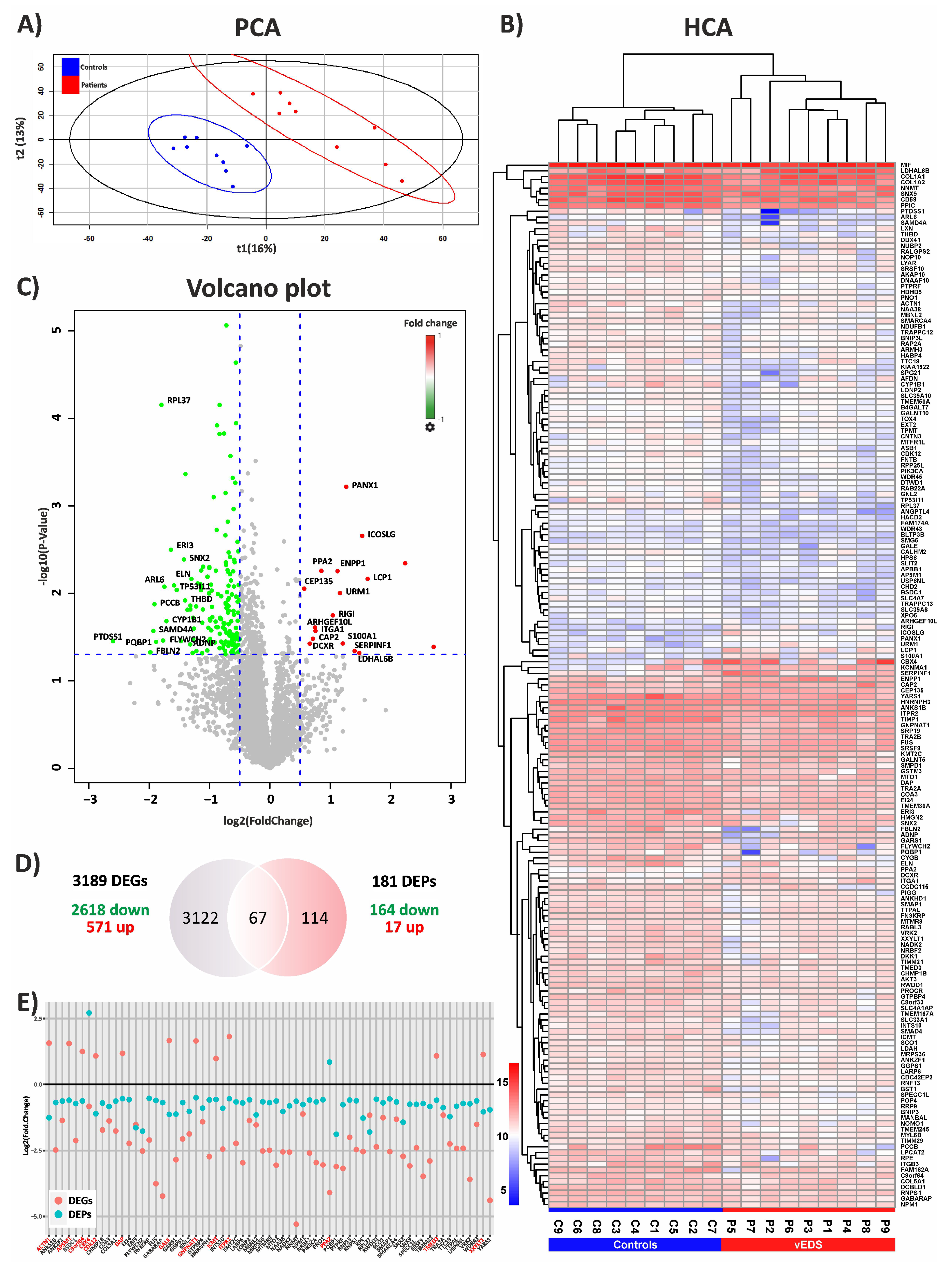Biomedicines 12 02749 g001