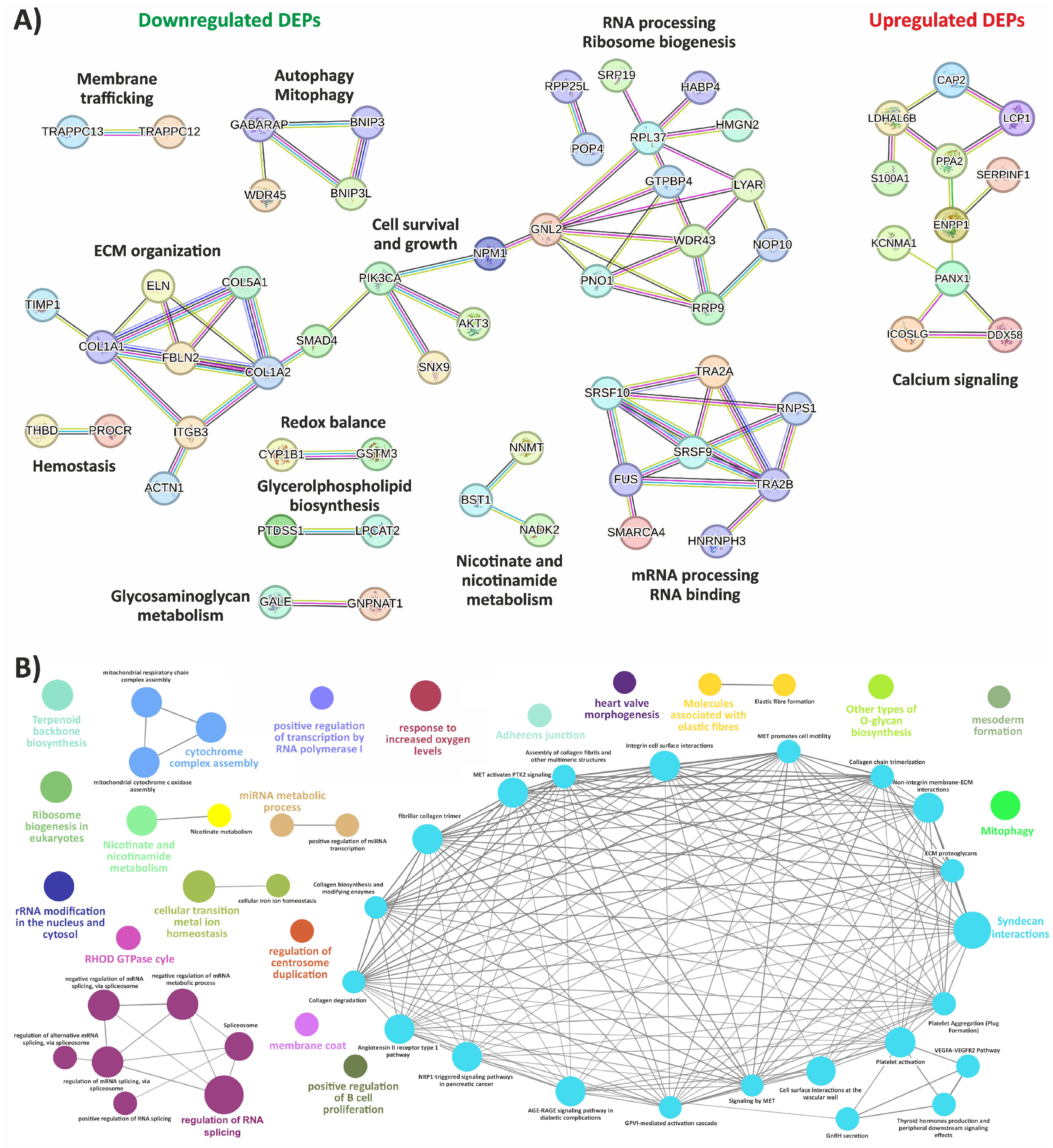 Biomedicines 12 02749 g003