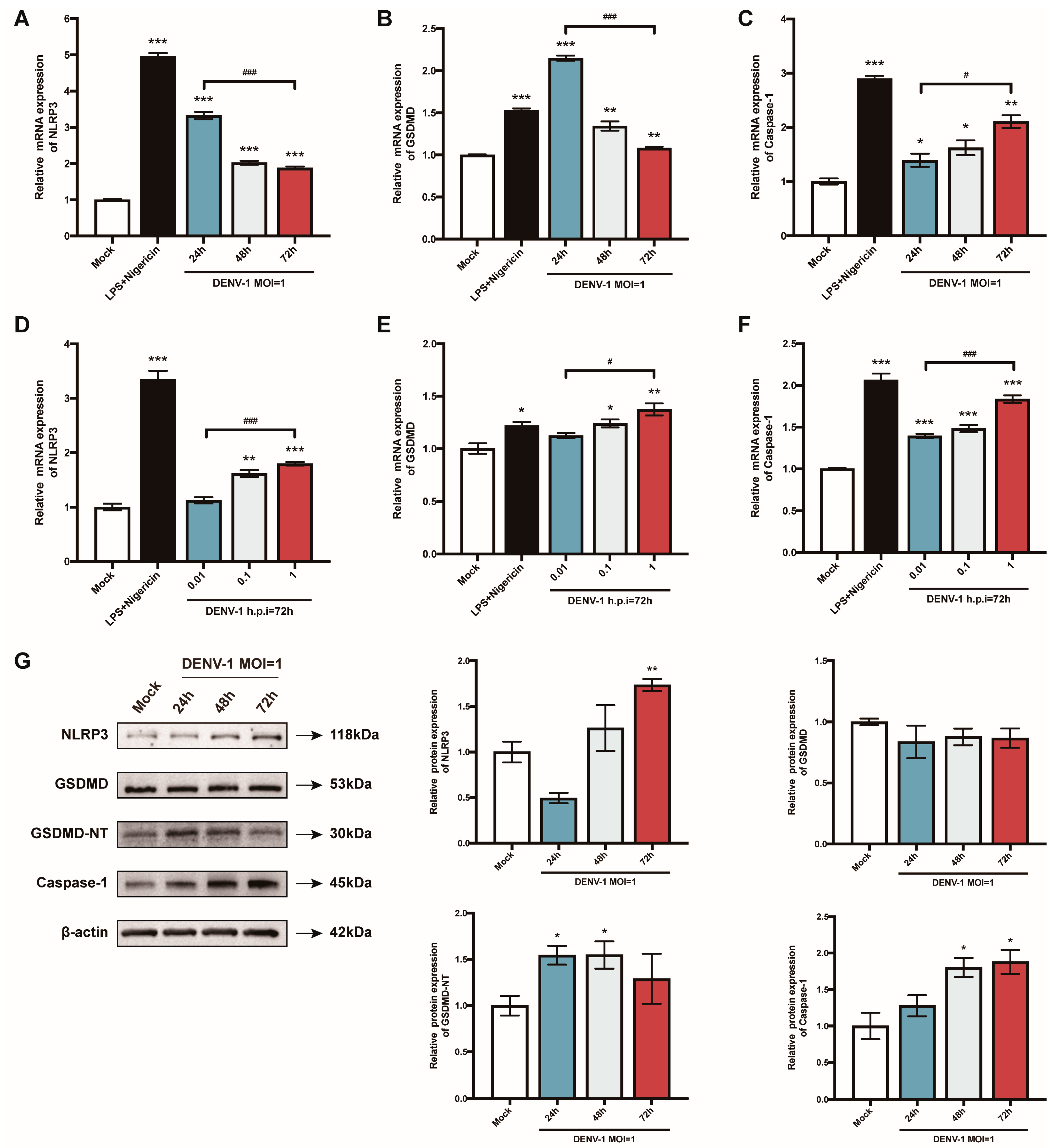 Biomedicines 12 02752 g003