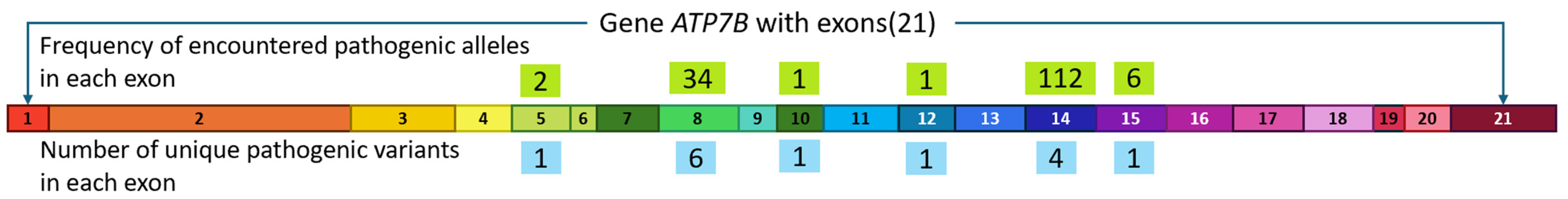 Biomedicines 12 02833 g002