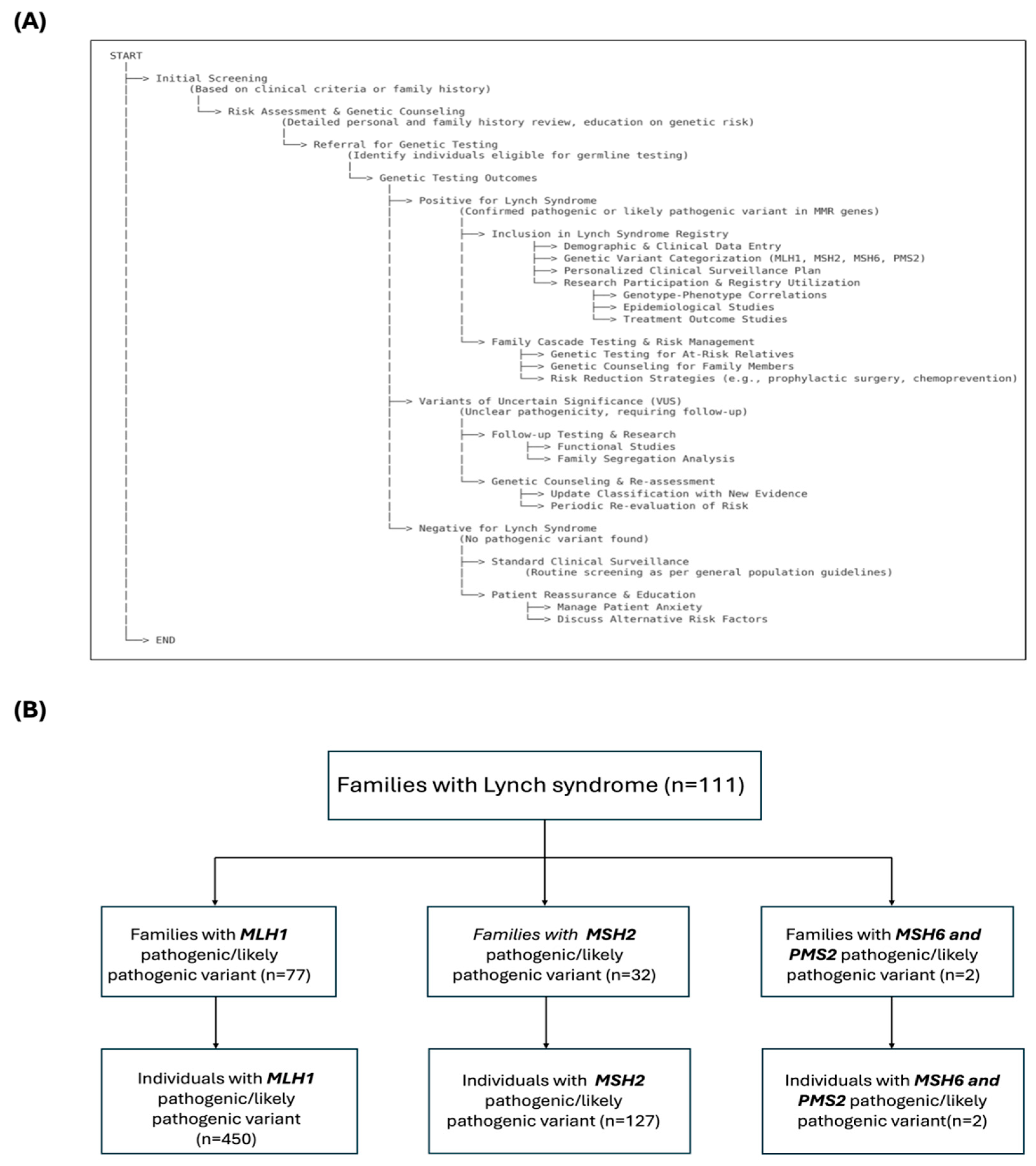 Biomedicines 12 02906 g001 Biomedicines 12 02906 g001