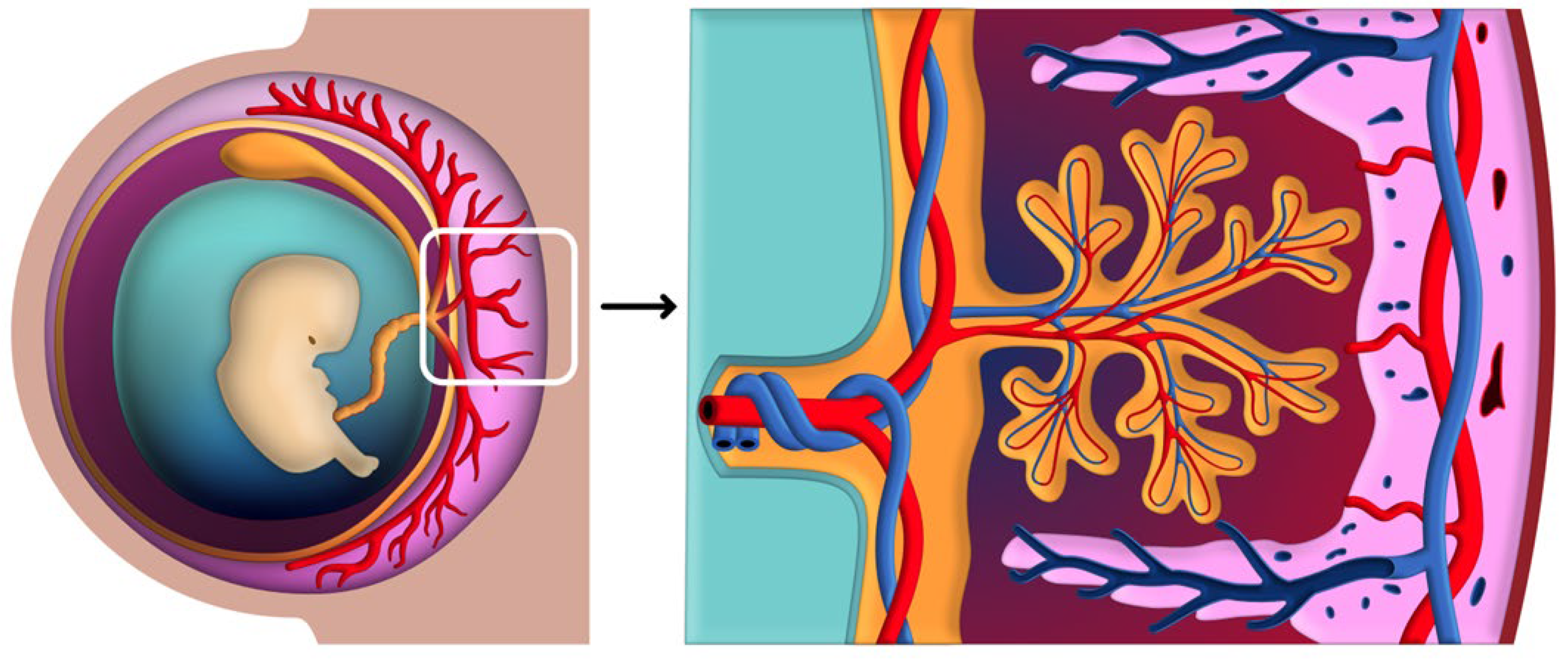 Biomedicines 12 02908 g004