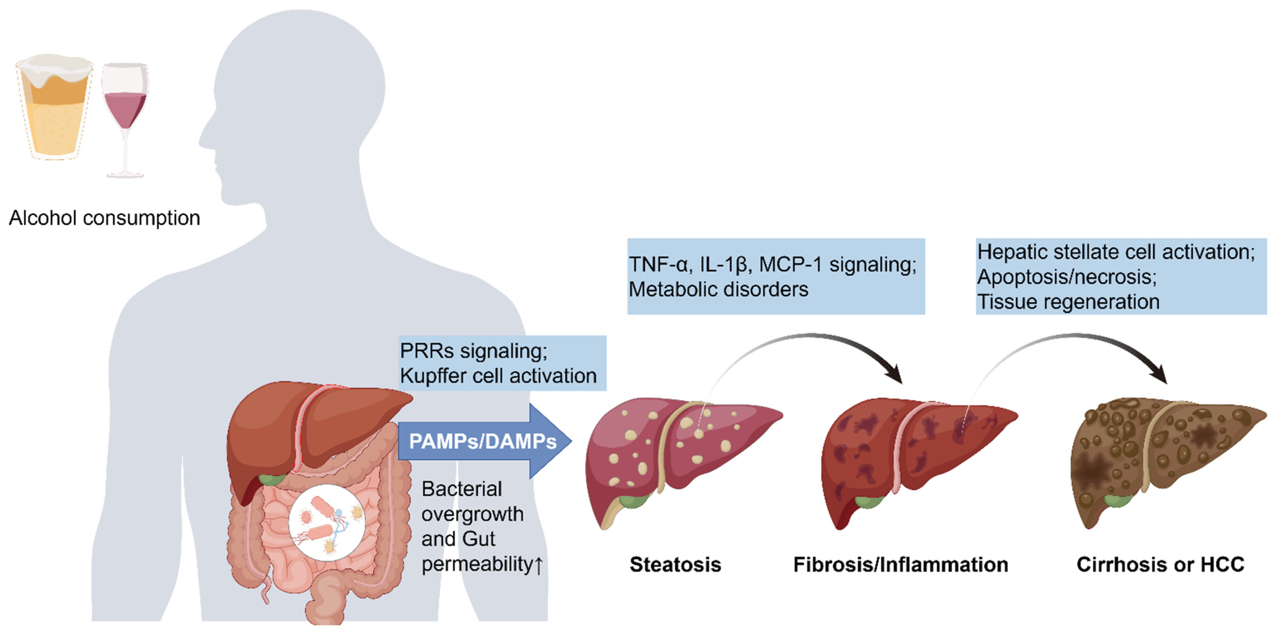 Biomedicines 13 00074 g001 Biomedicines 13 00074 g001