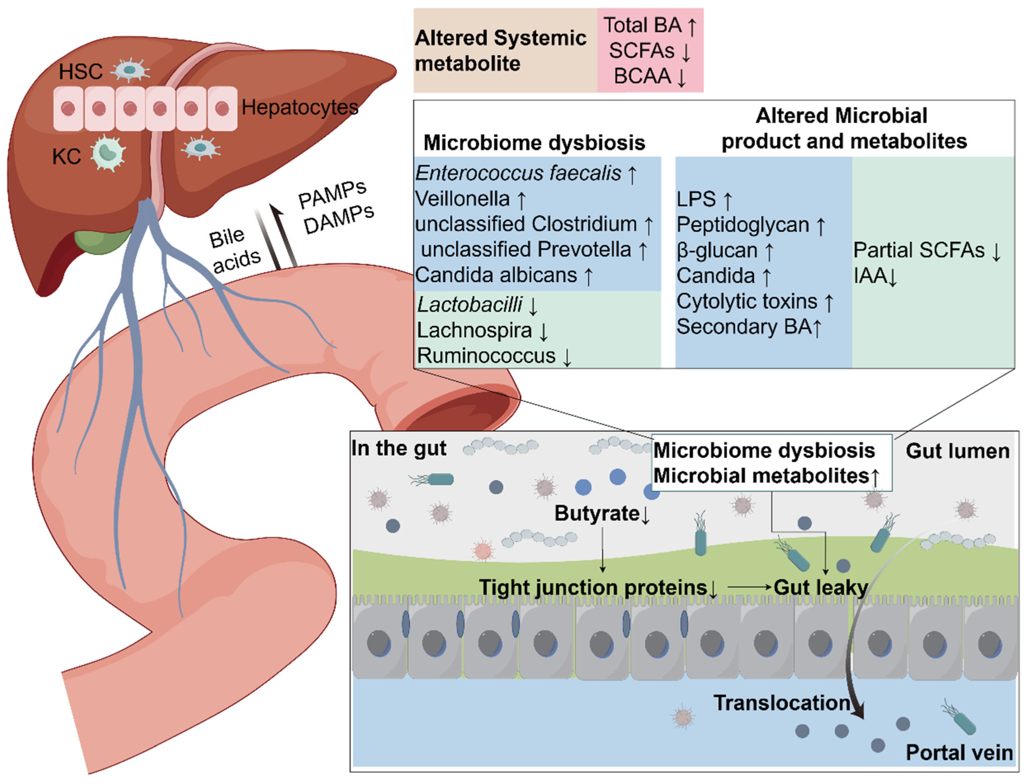 Biomedicines 13 00074 g002 Biomedicines 13 00074 g002