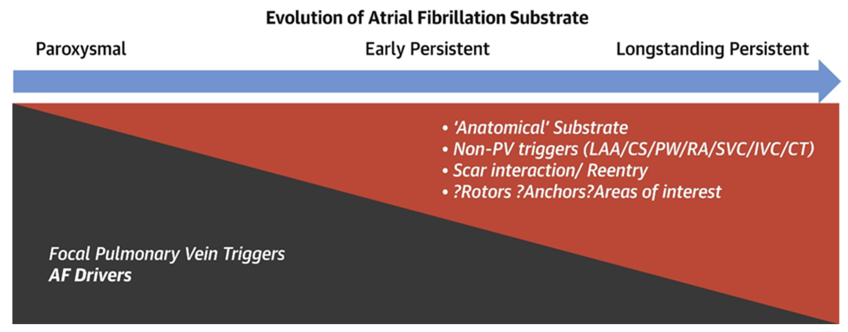 Biomedicines 13 00091 g001 Biomedicines 13 00091 g001