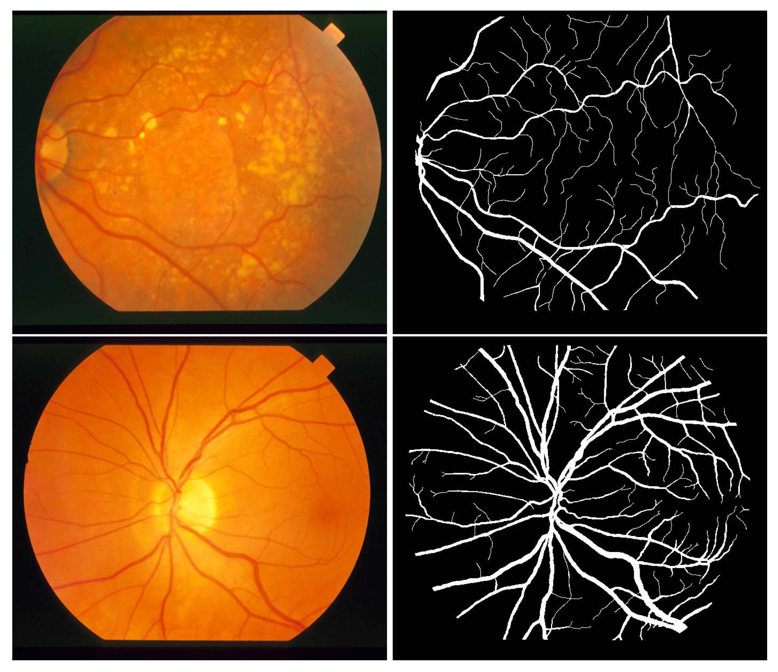 Biomedicines 13 00141 g007