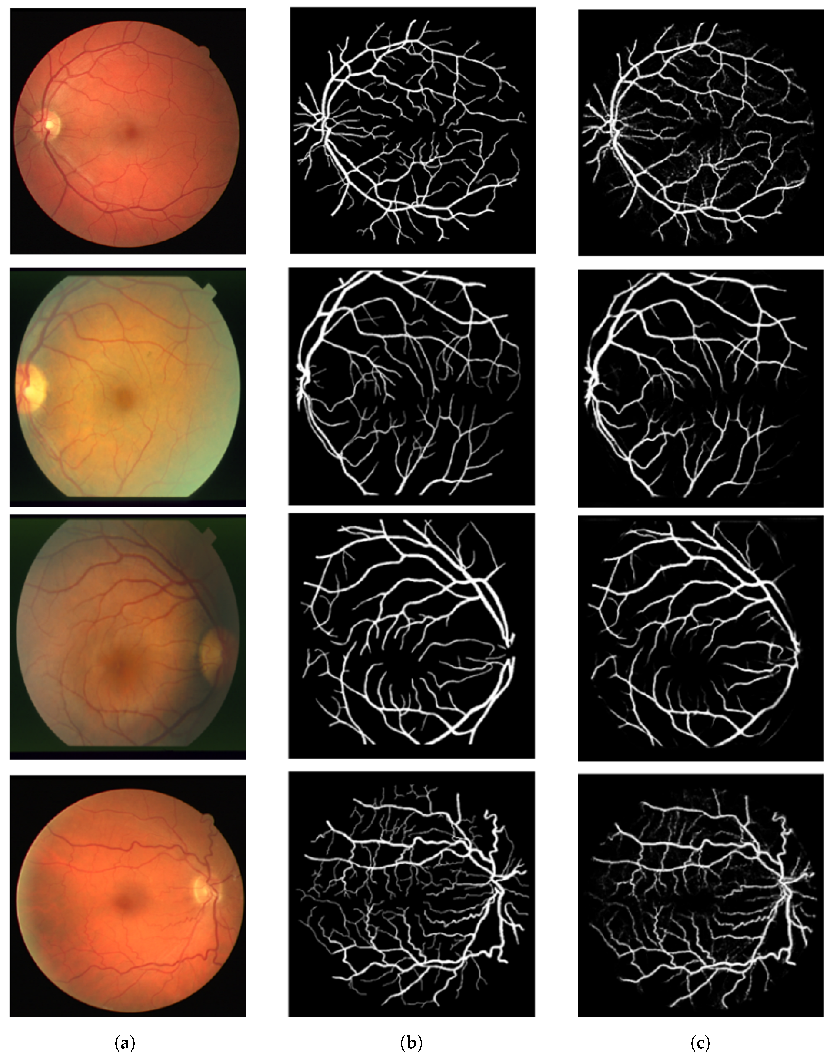 Biomedicines 13 00141 g016
