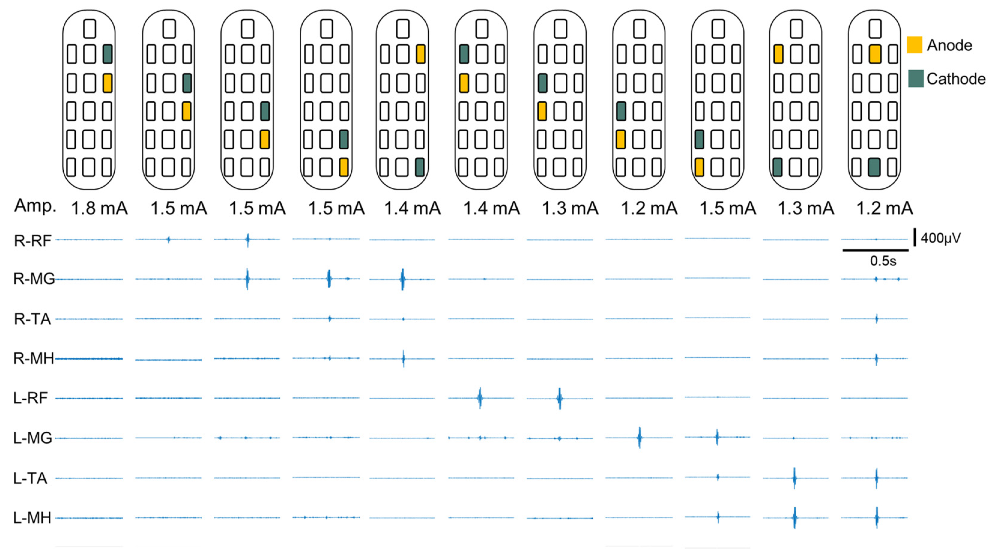 Biomedicines 13 00155 g002 Biomedicines 13 00155 g002