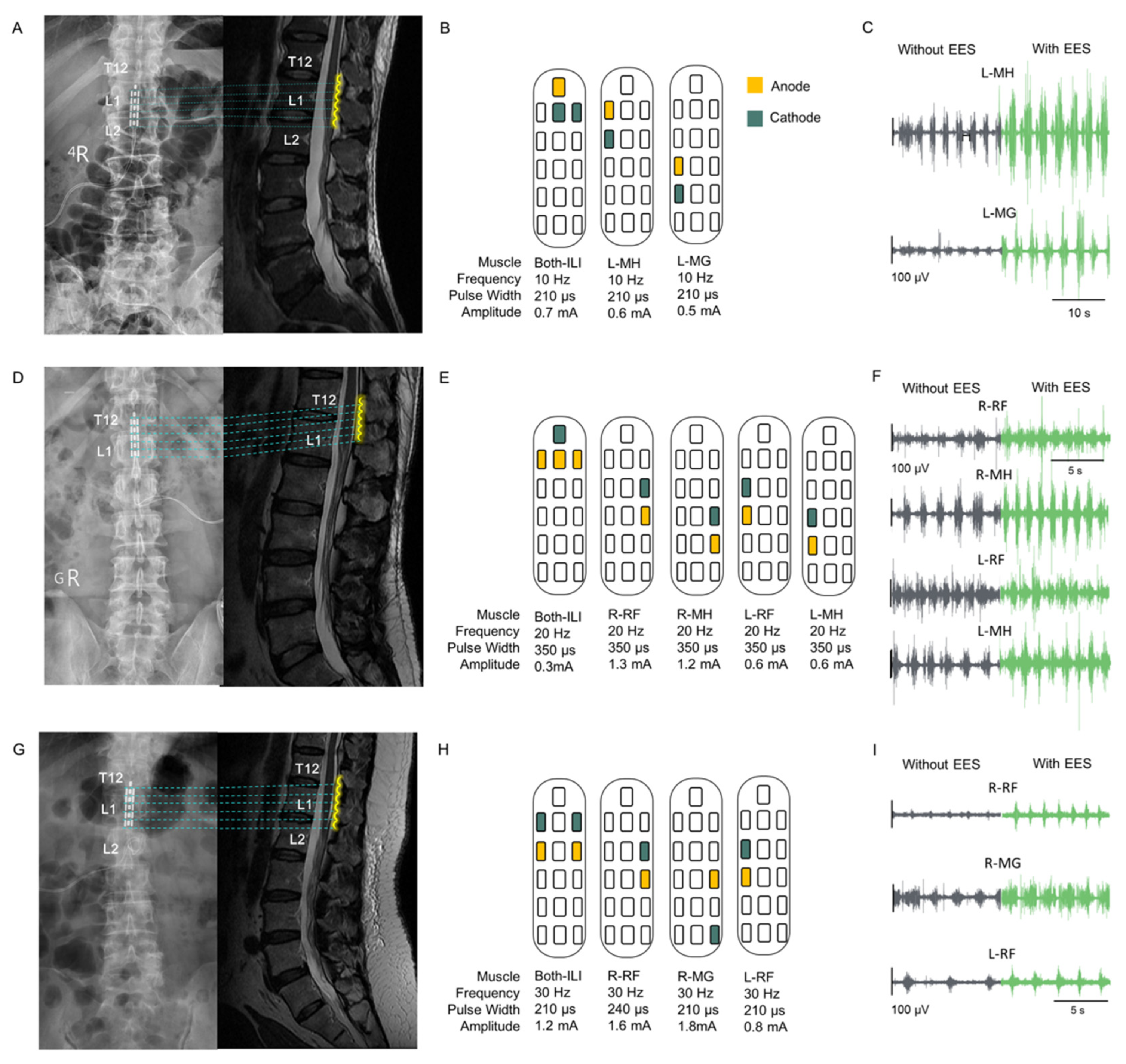 Biomedicines 13 00155 g003 Biomedicines 13 00155 g003