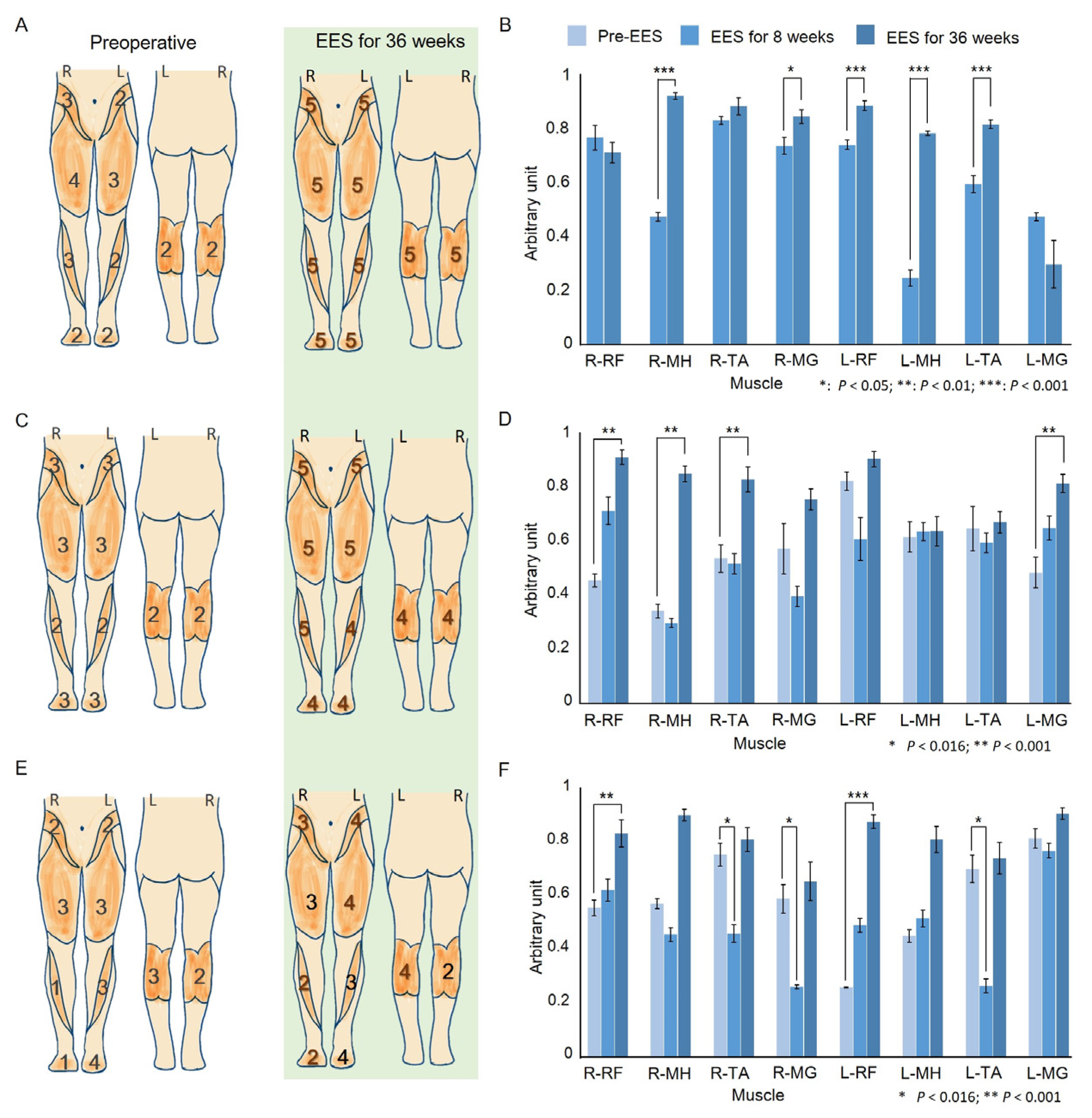 Biomedicines 13 00155 g004 Biomedicines 13 00155 g004