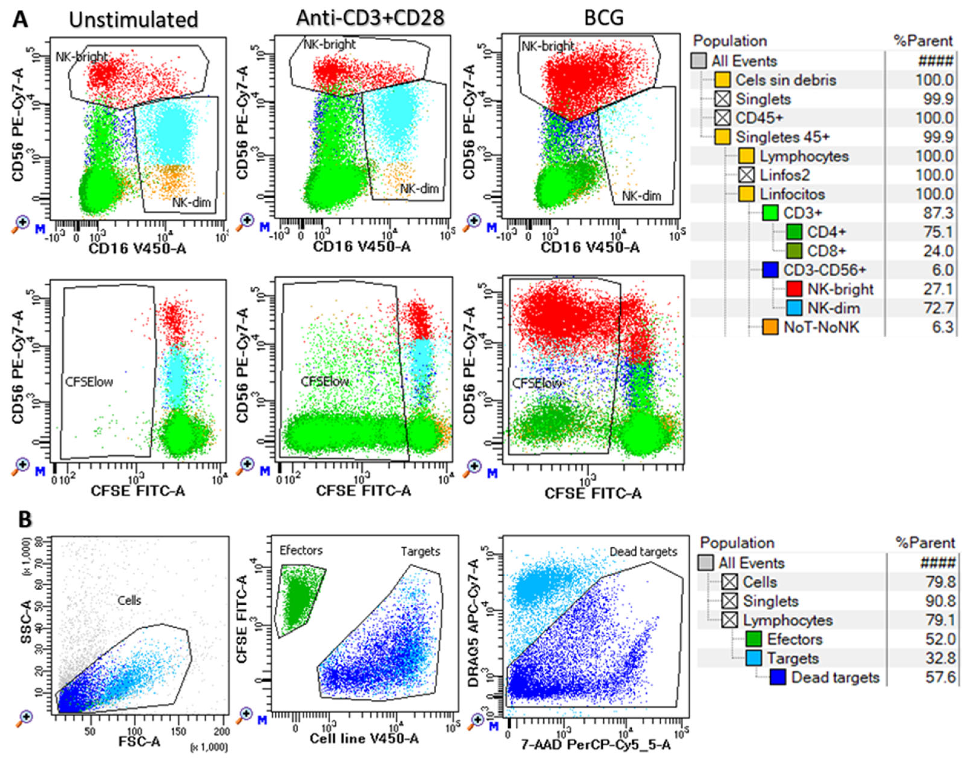 Biomedicines 13 00156 g001