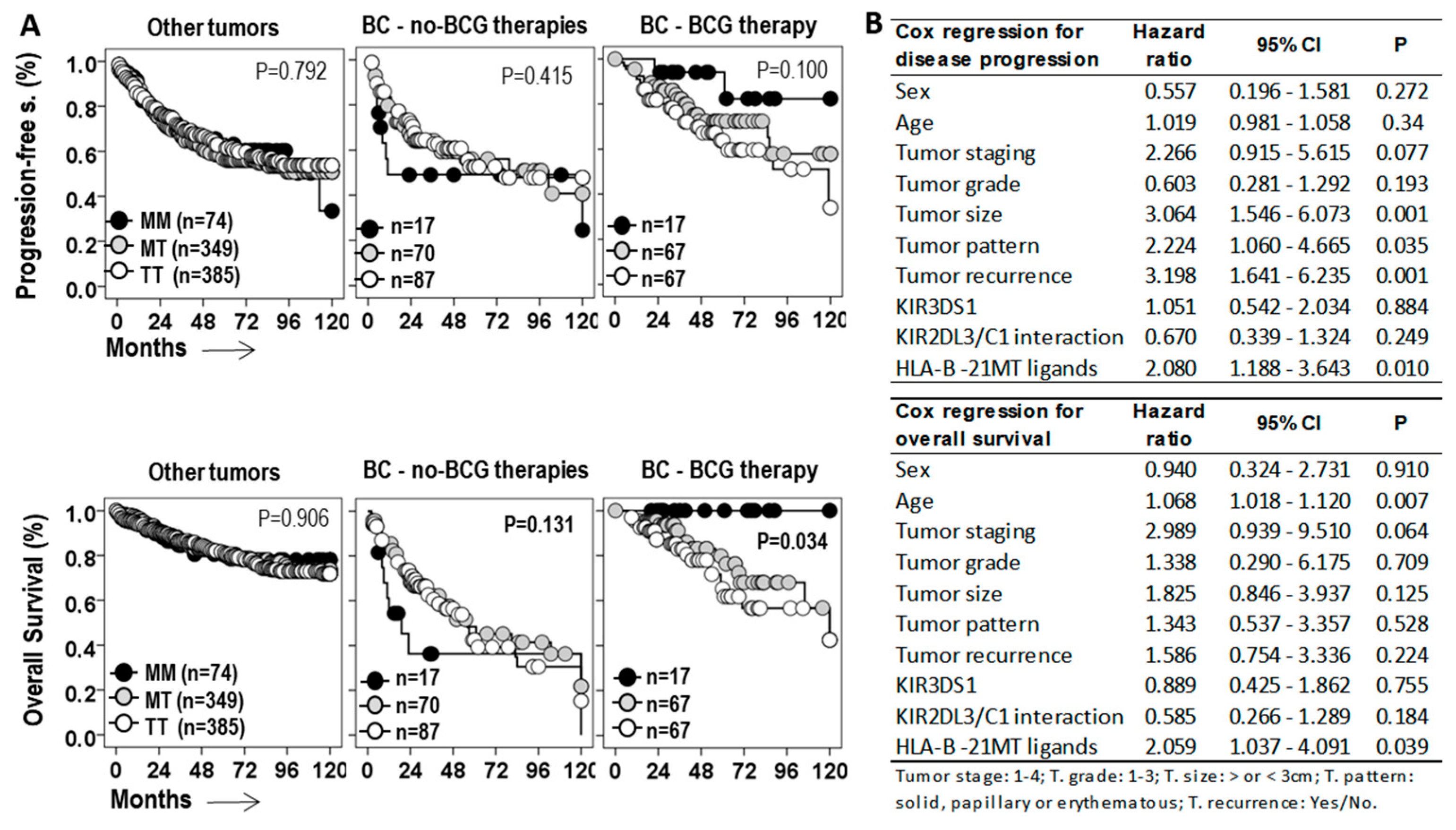 Biomedicines 13 00156 g004