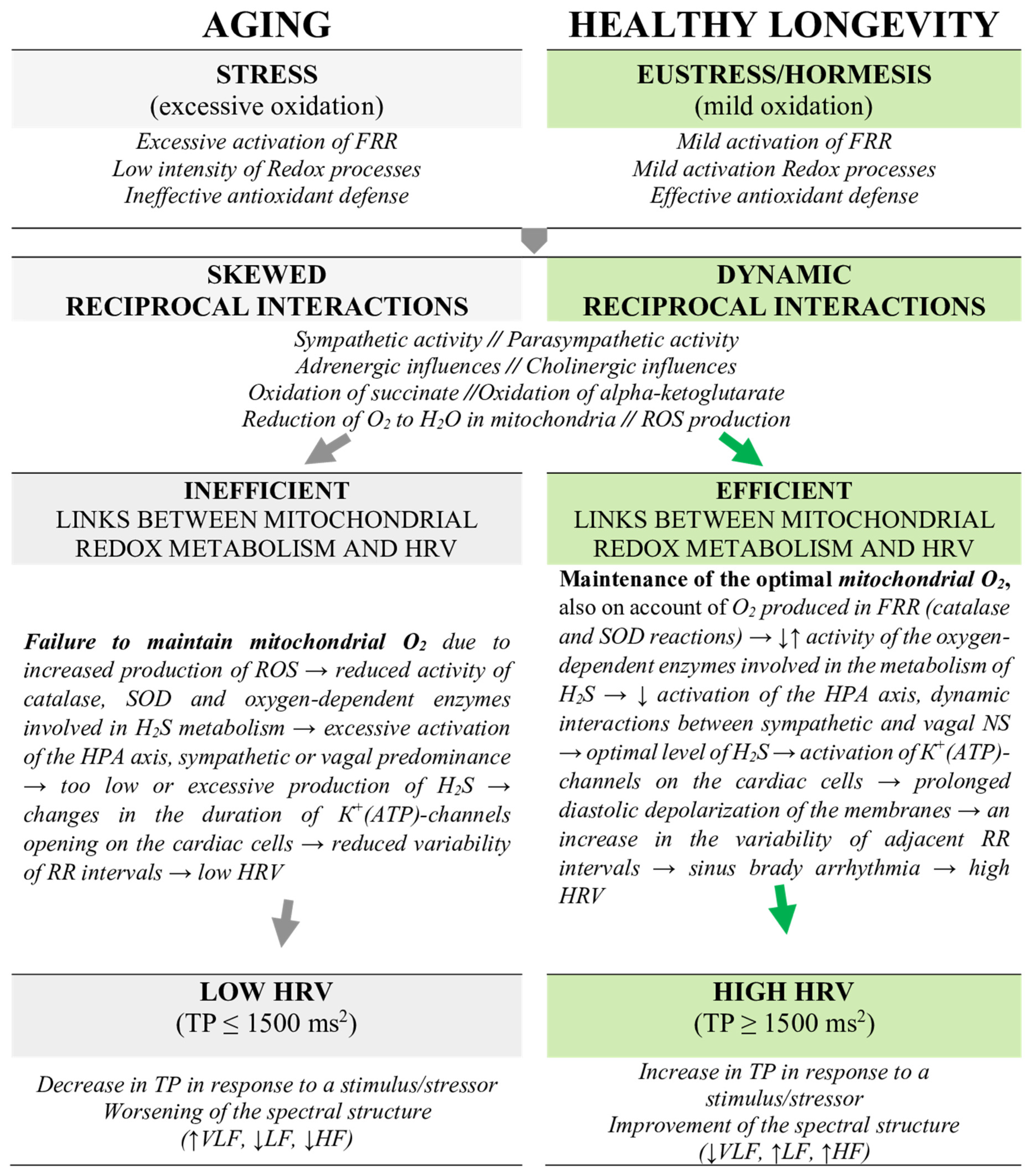 Biomedicines 13 00161 g002
