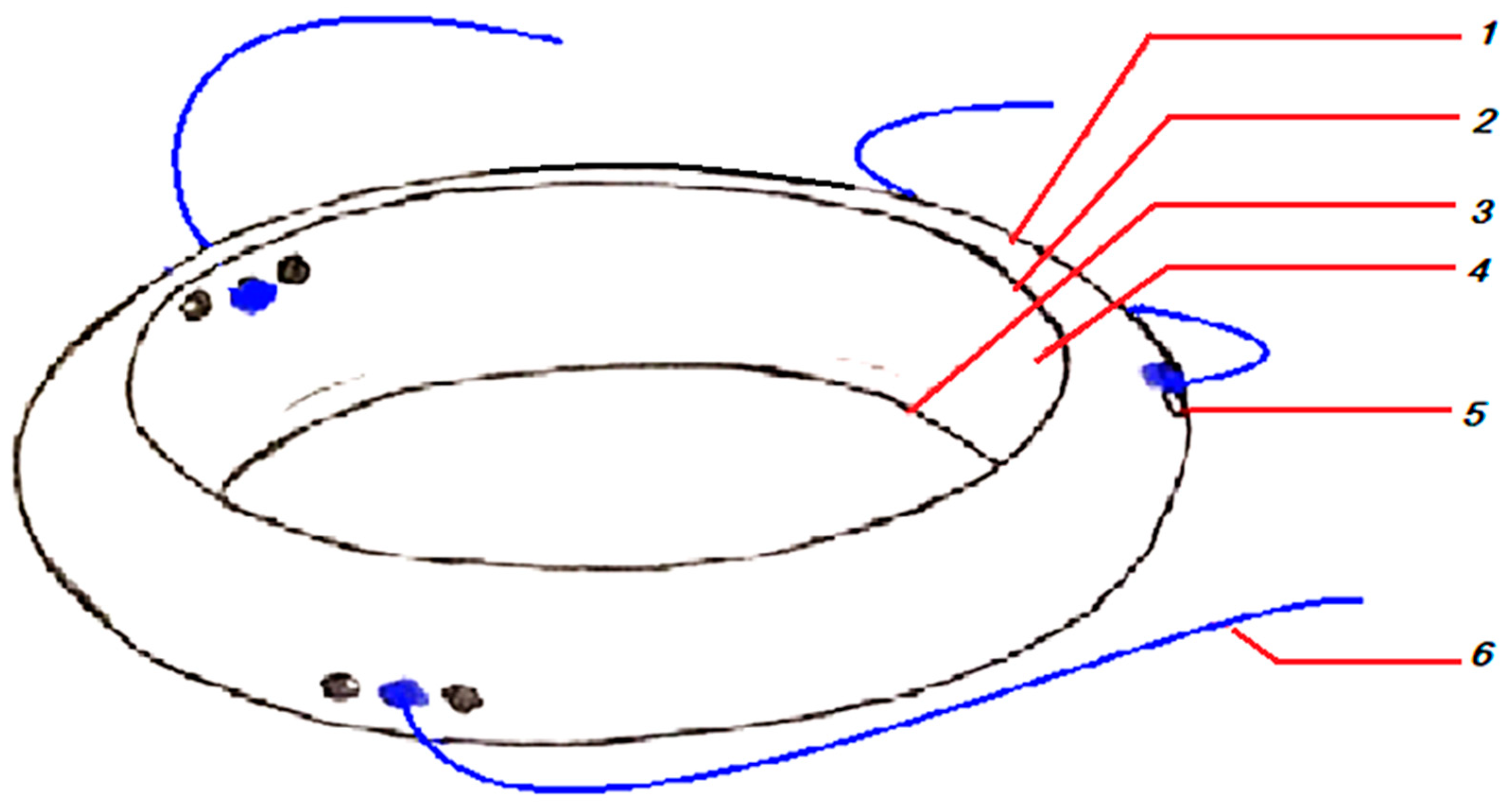 Biomedicines 13 00162 g001