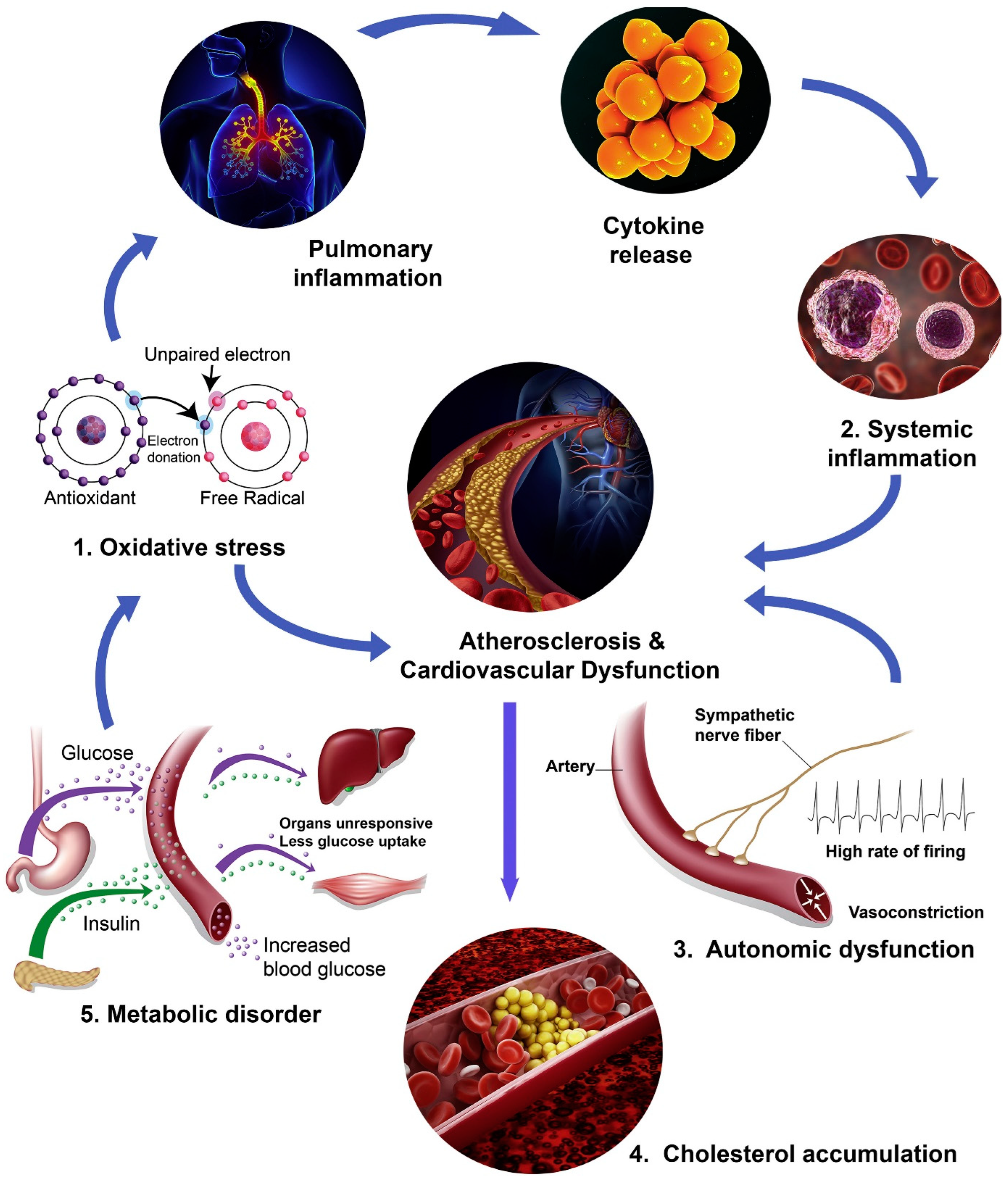 Biomedicines 13 00241 g001