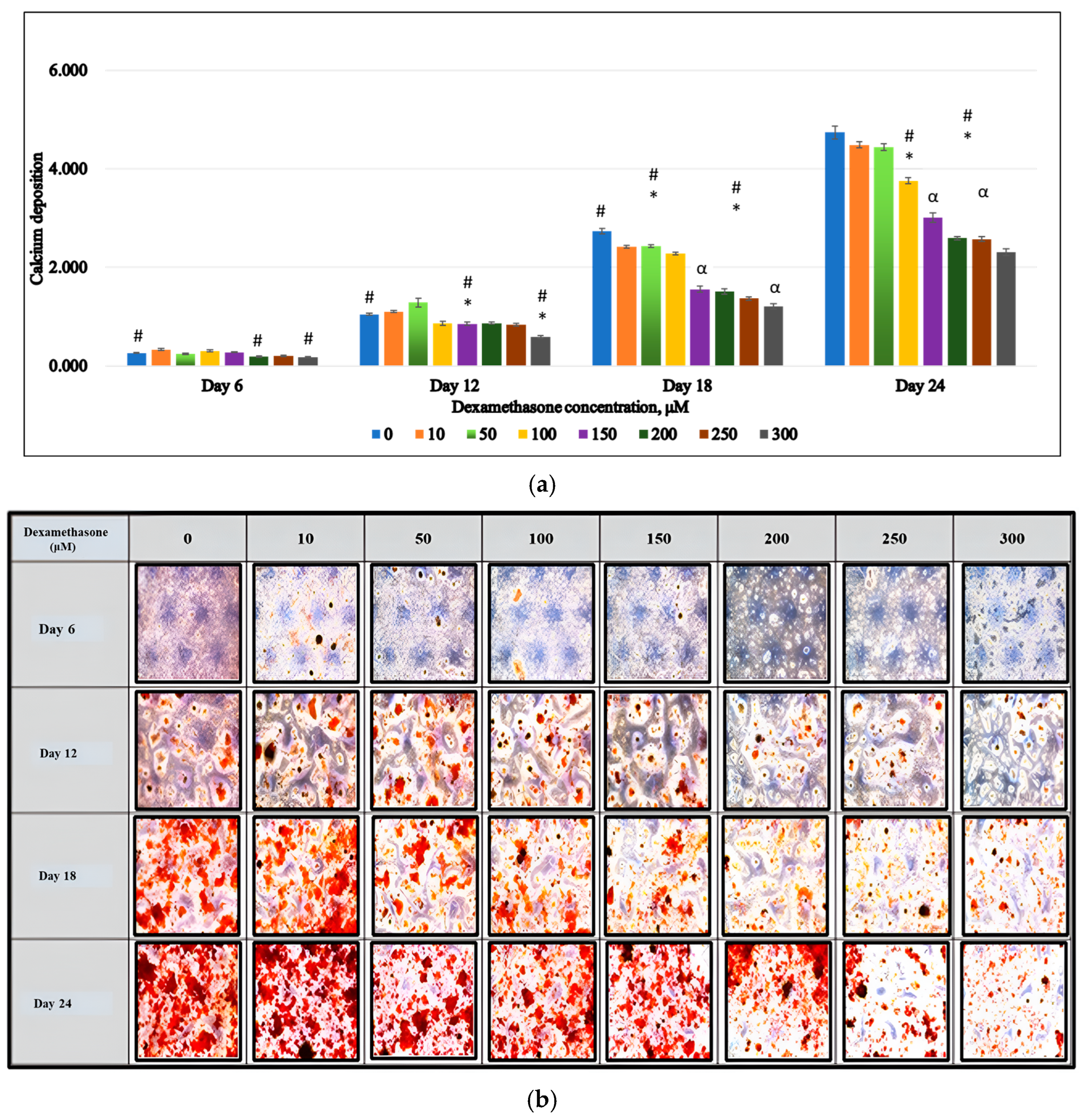 Biomedicines 13 00243 g002