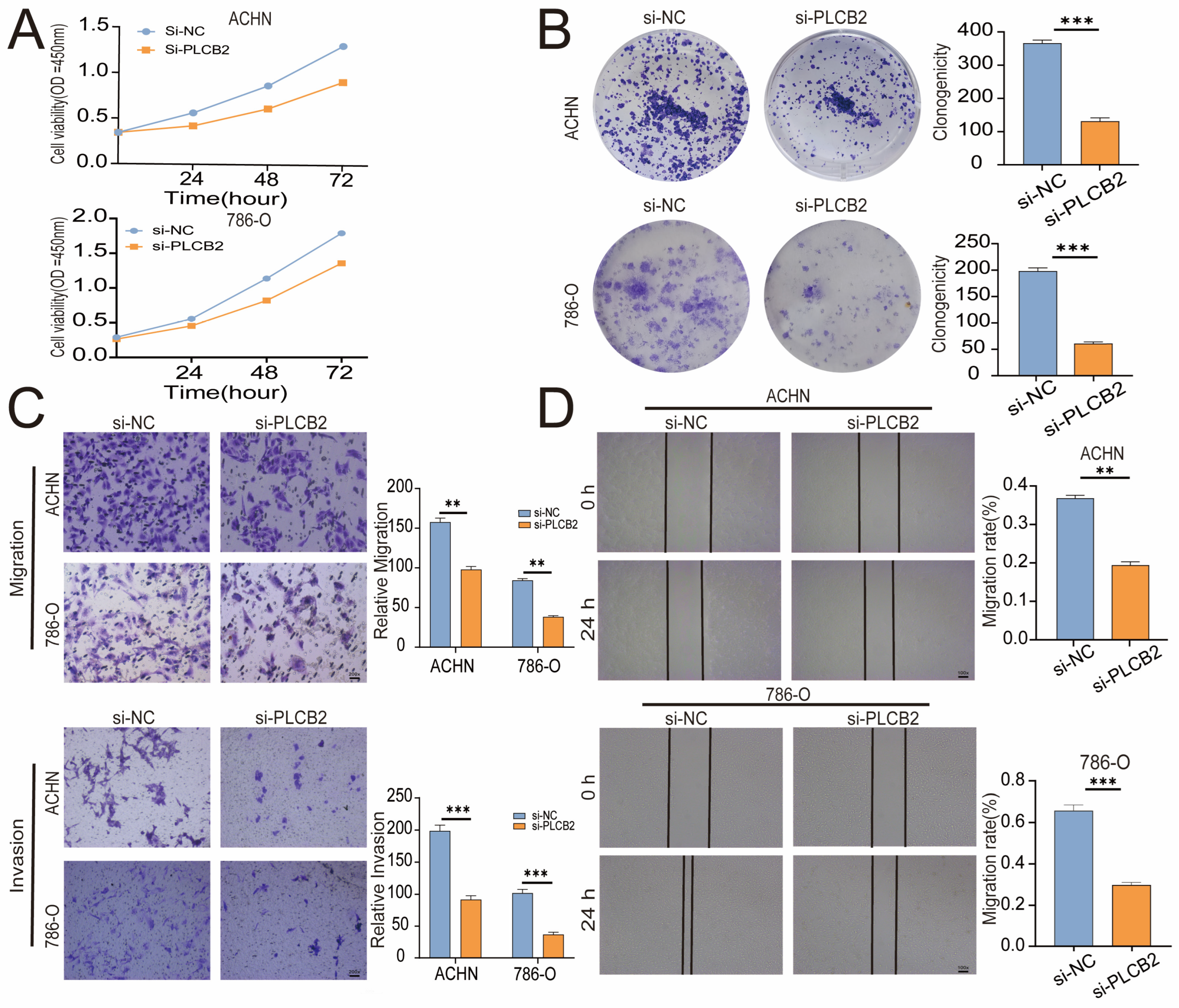 Biomedicines 13 00304 g008