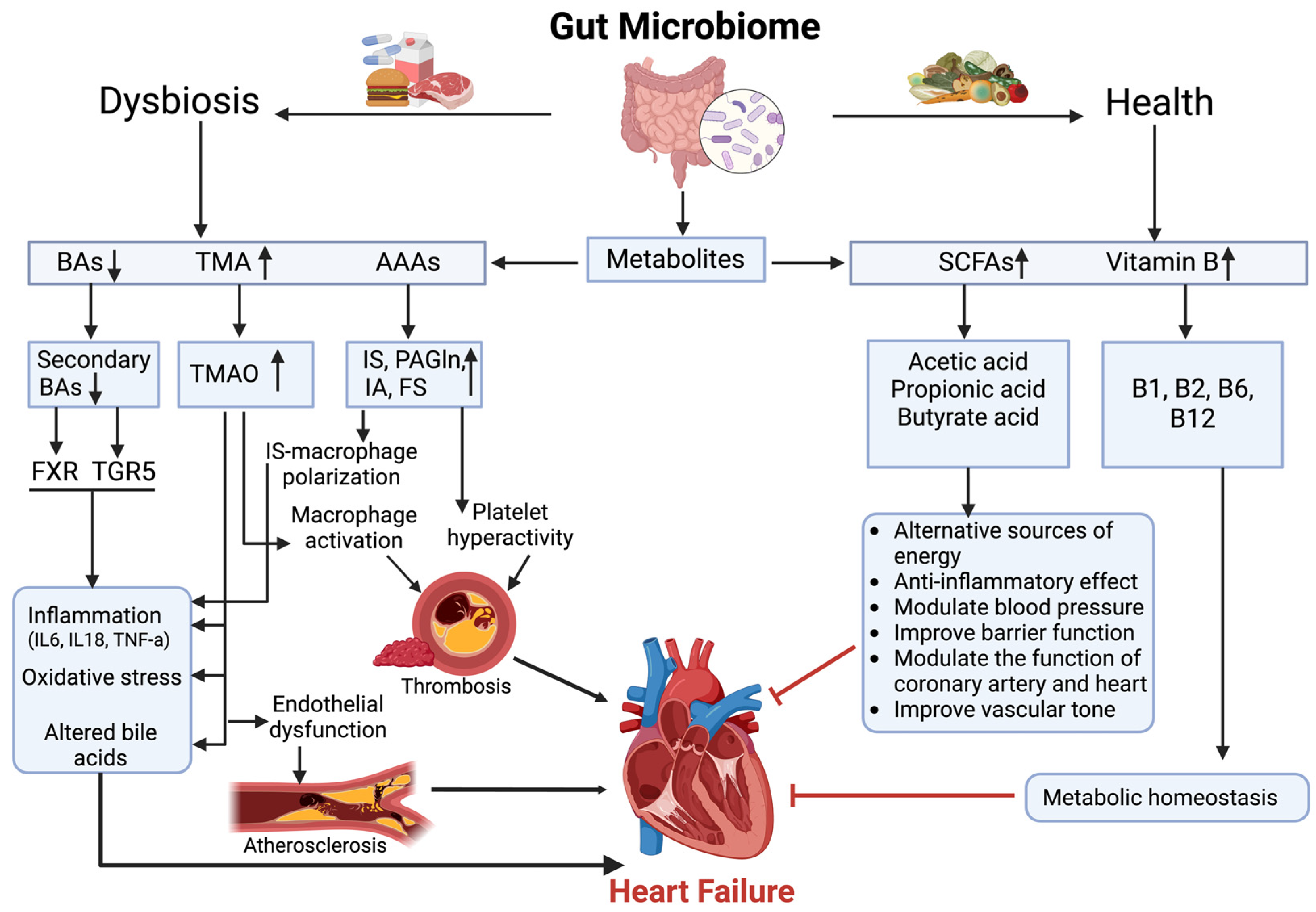 Biomedicines 13 00343 g001 Biomedicines 13 00343 g001