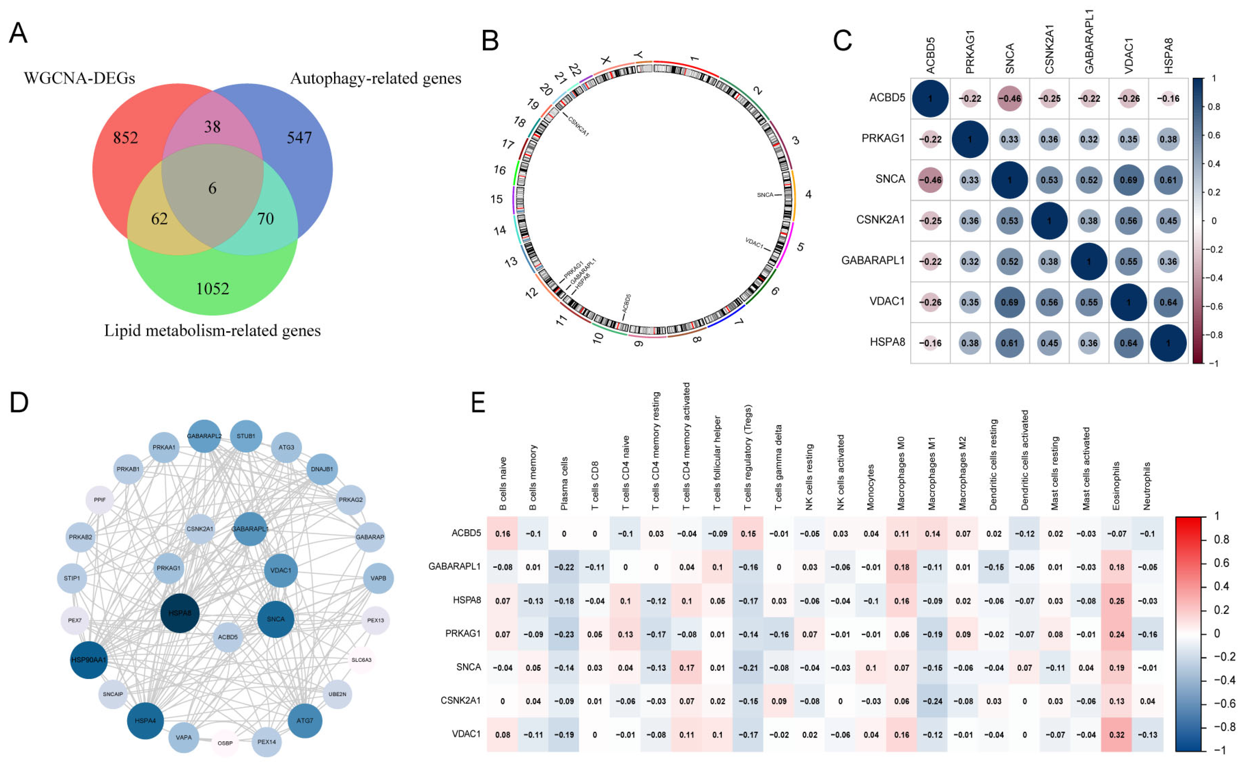 Biomedicines 13 00362 g005