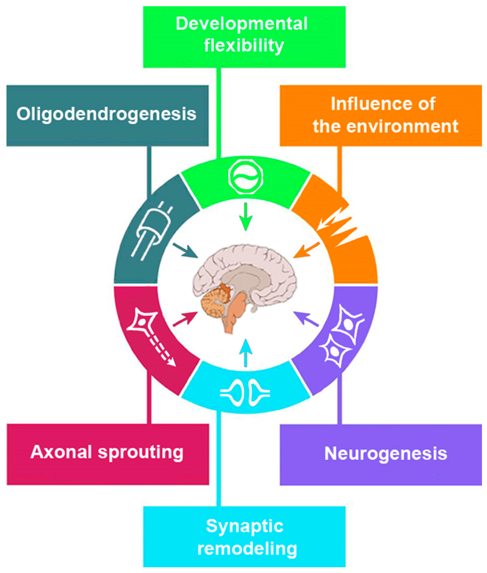 Biomedicines 13 00460 g001