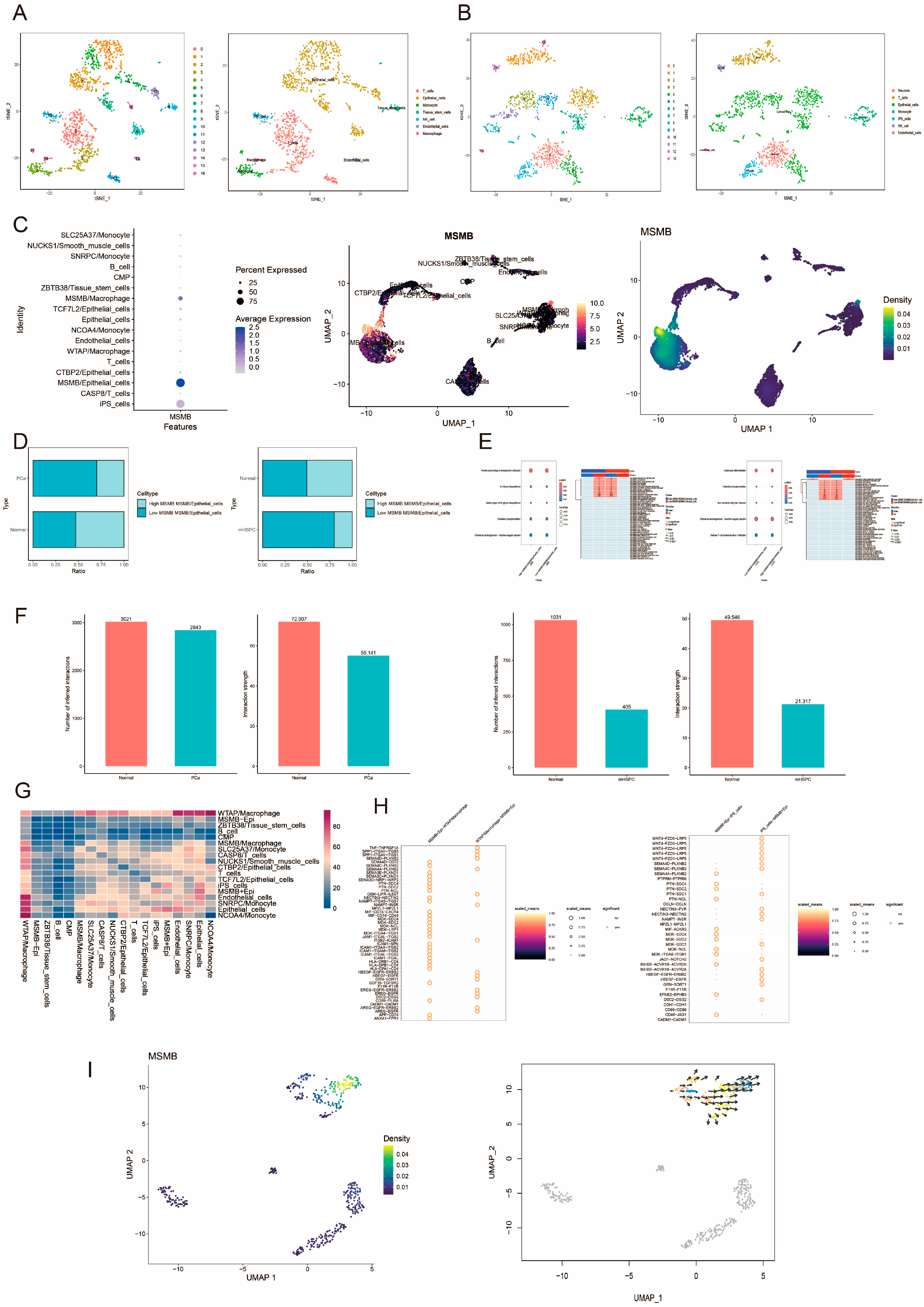 Biomedicines 13 00487 g001