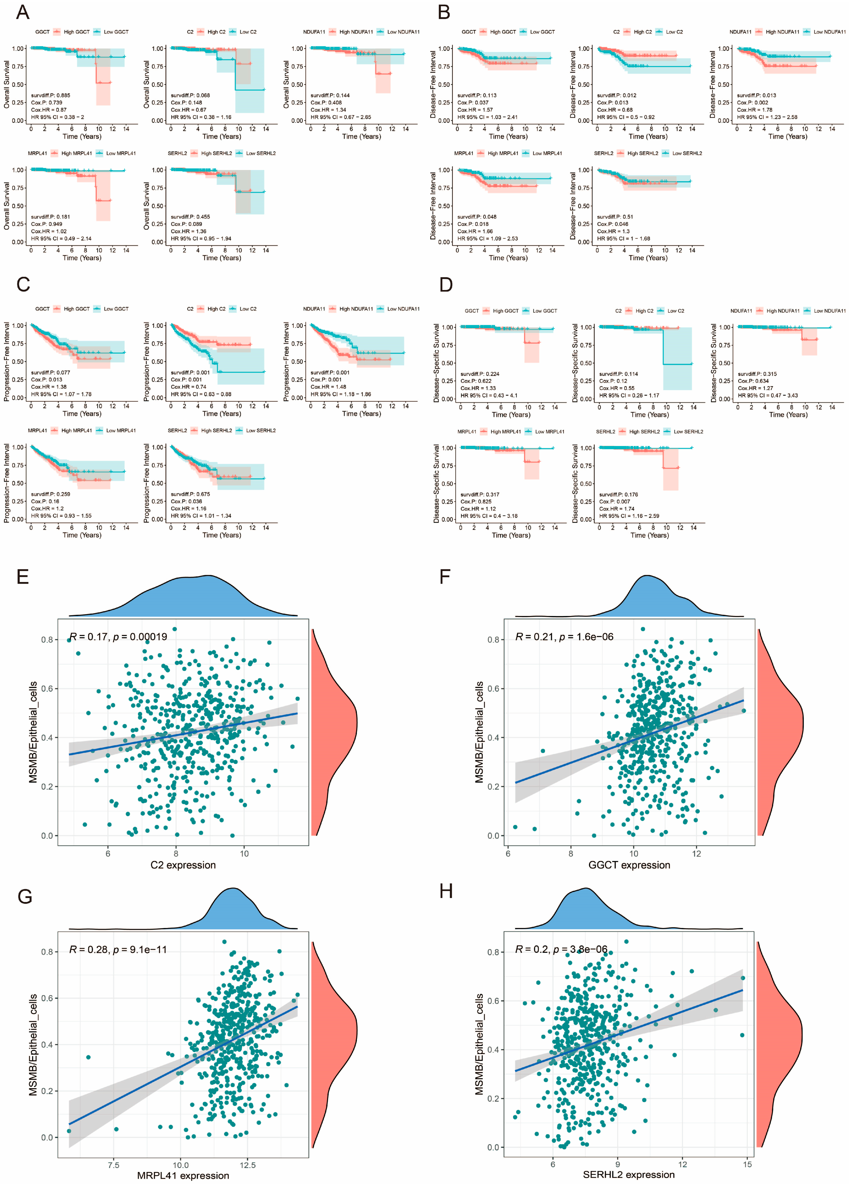 Biomedicines 13 00487 g012