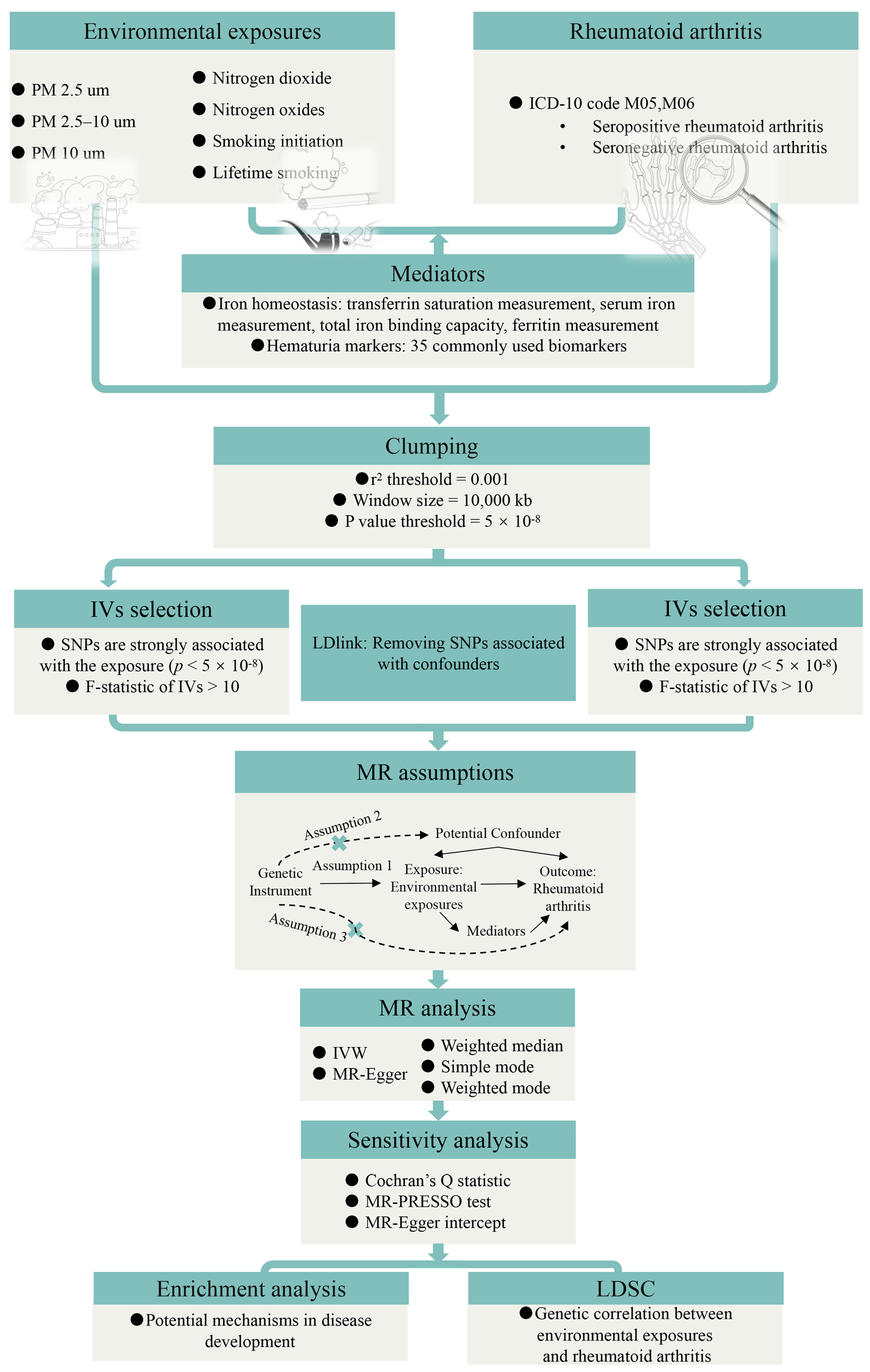 Biomedicines 13 00513 g001