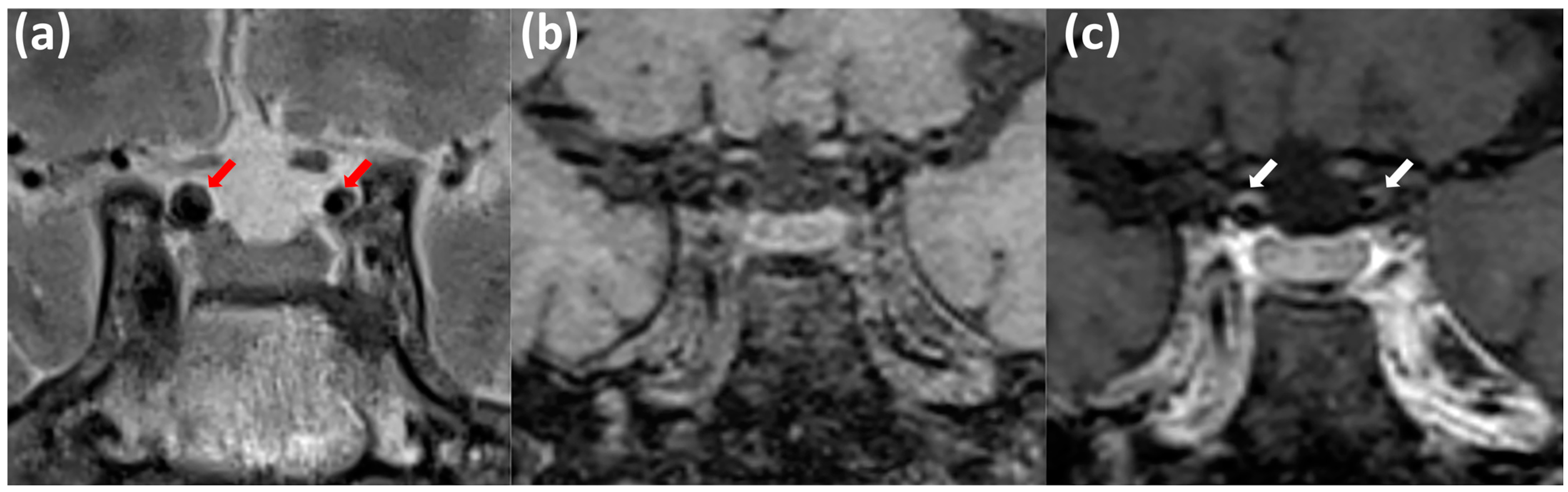 Biomedicines 13 00514 g002