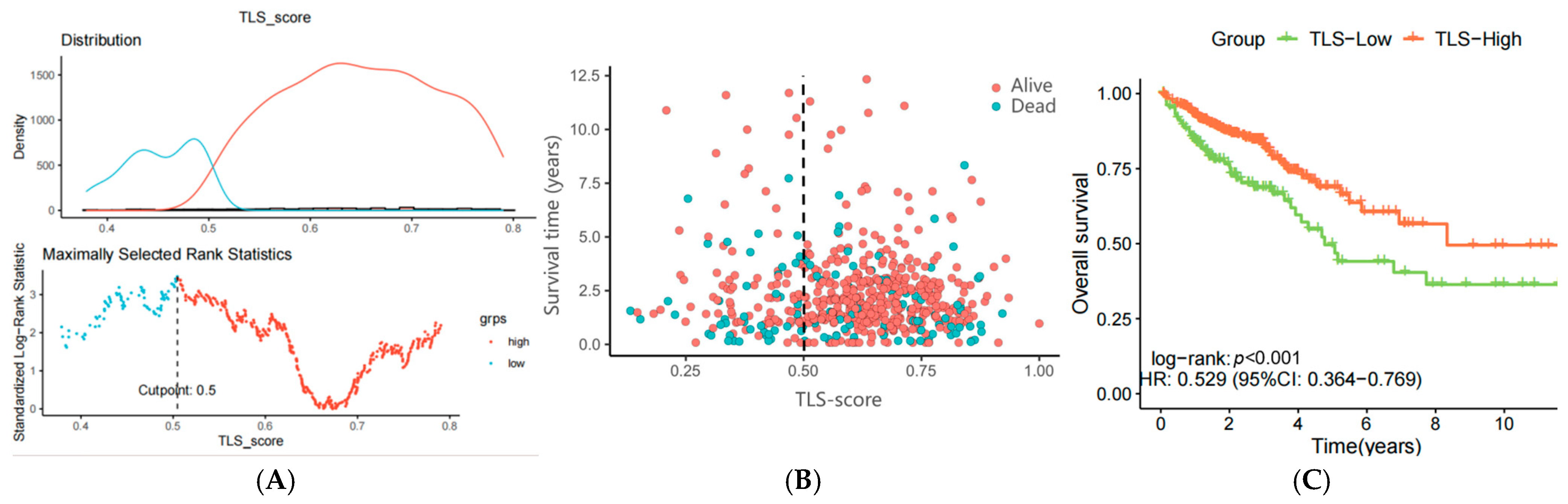Biomedicines 13 00539 g005