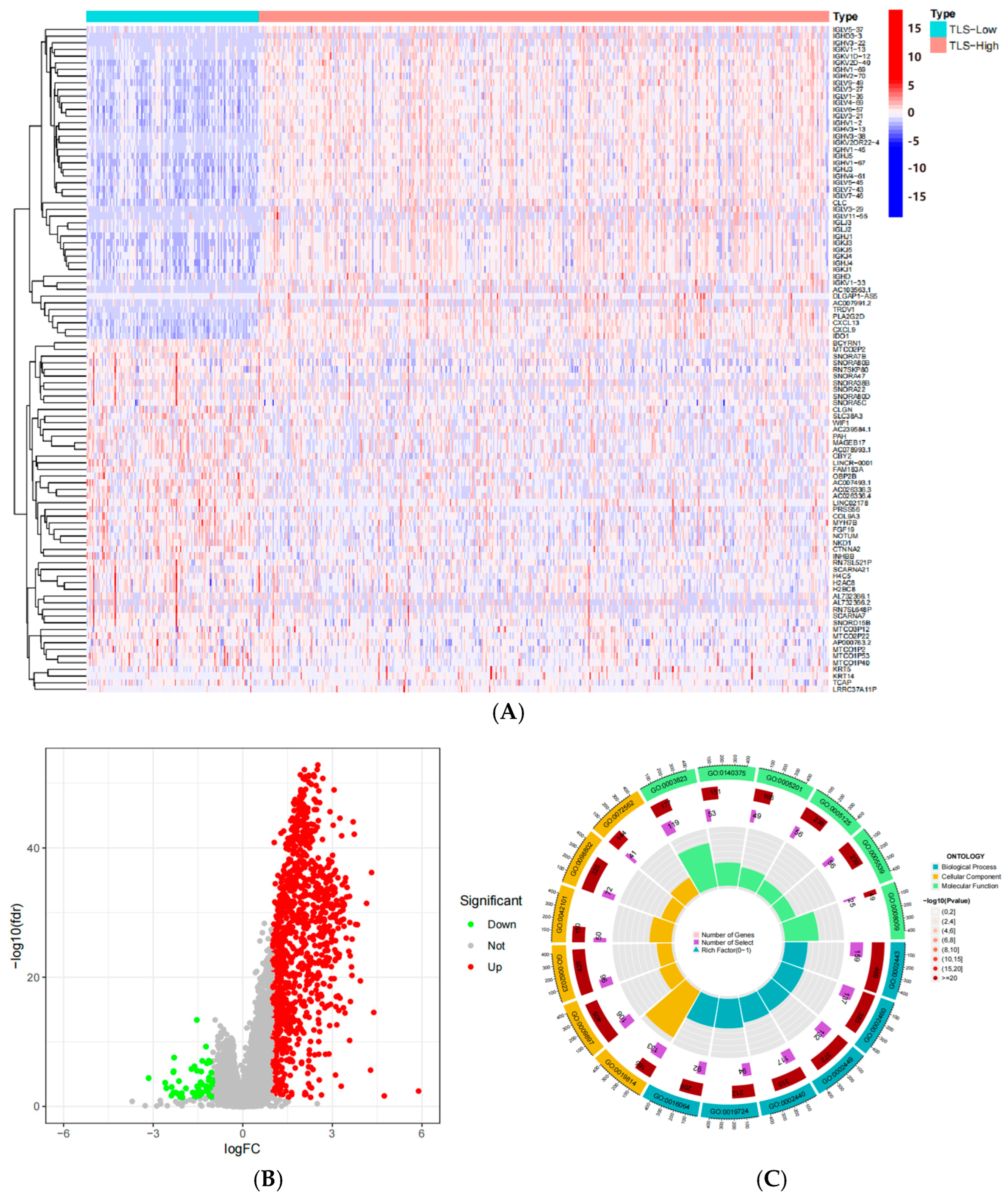 Biomedicines 13 00539 g007a