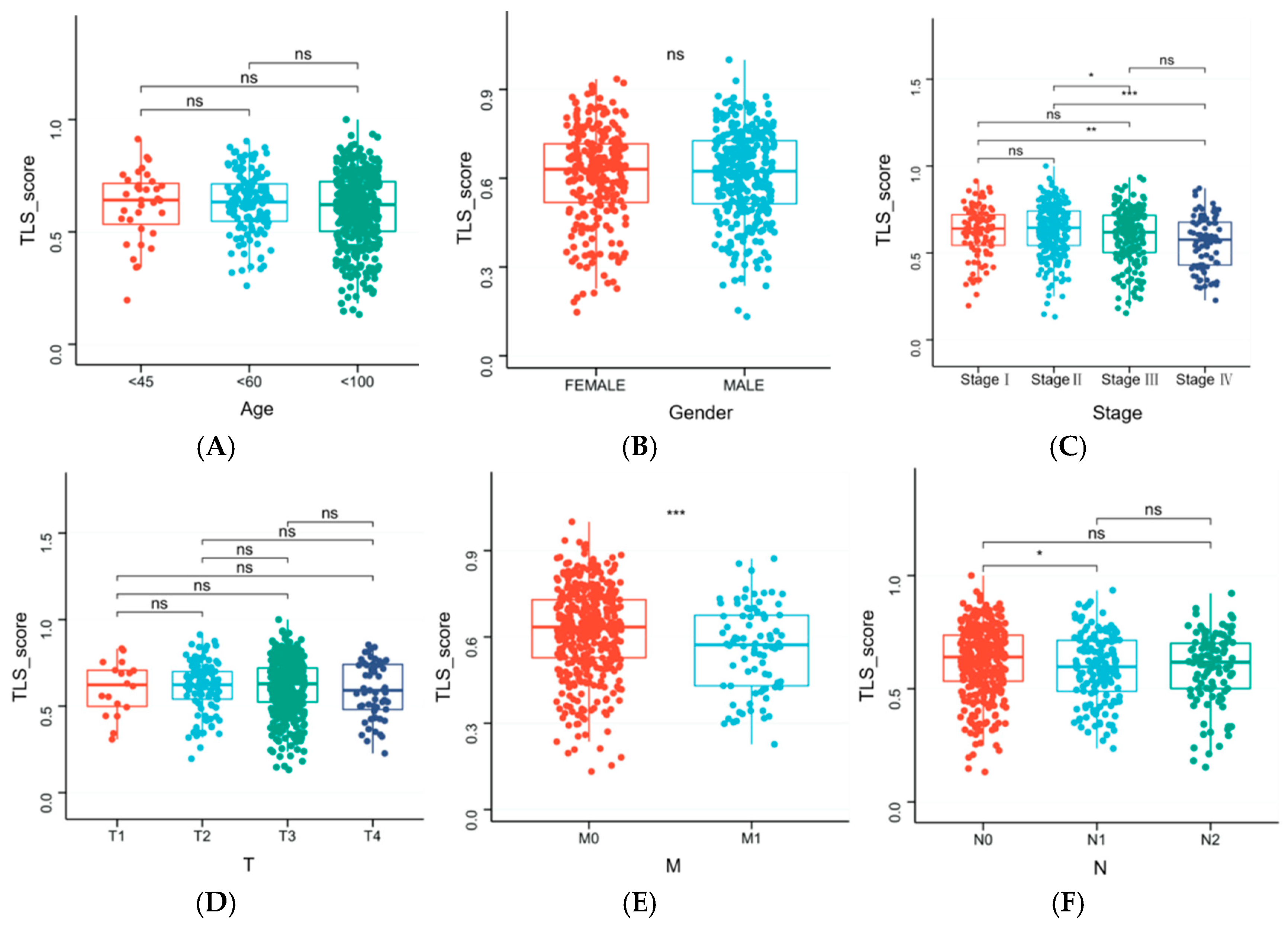 Biomedicines 13 00539 g008