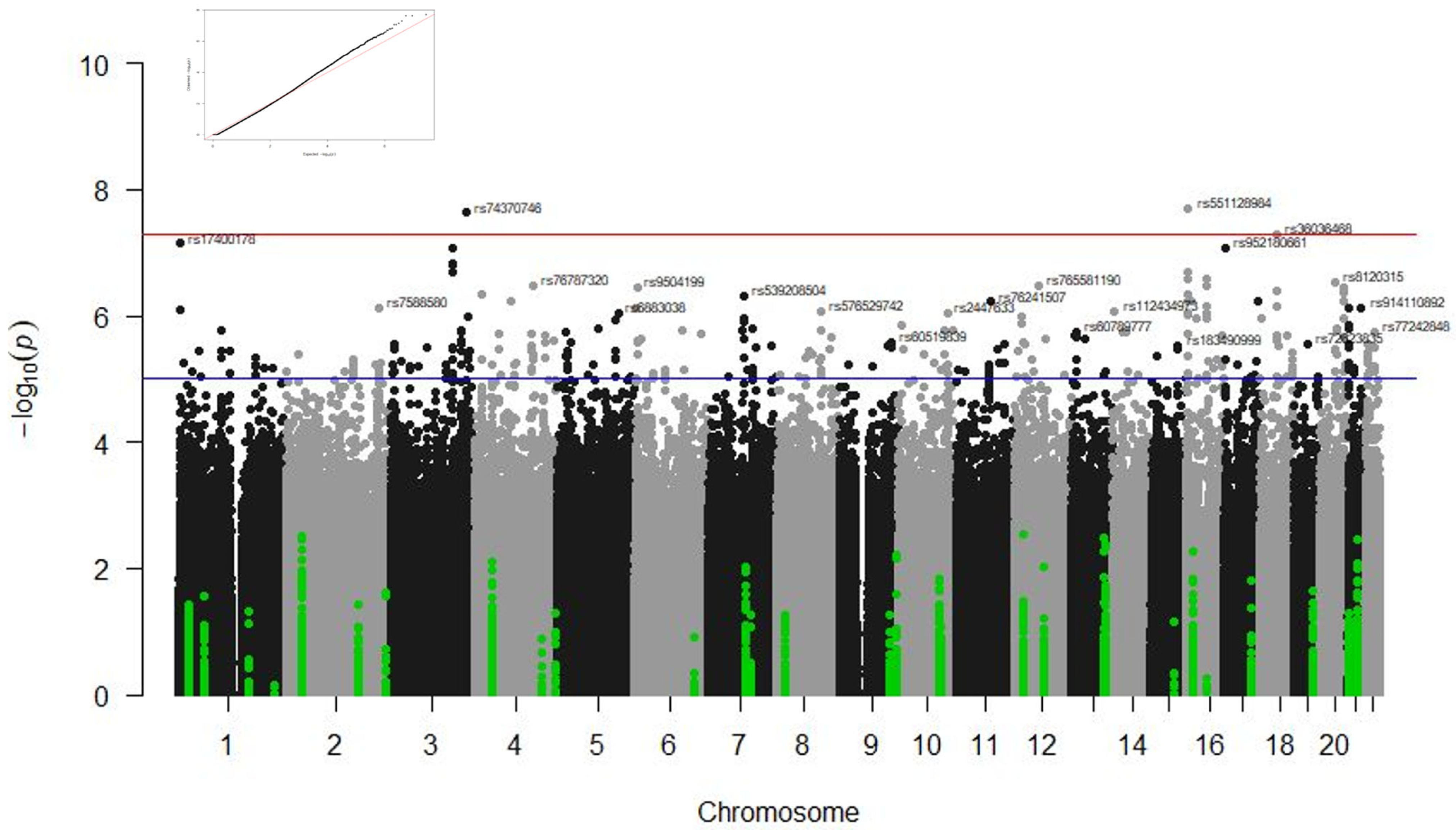 Biomedicines 13 00553 g002