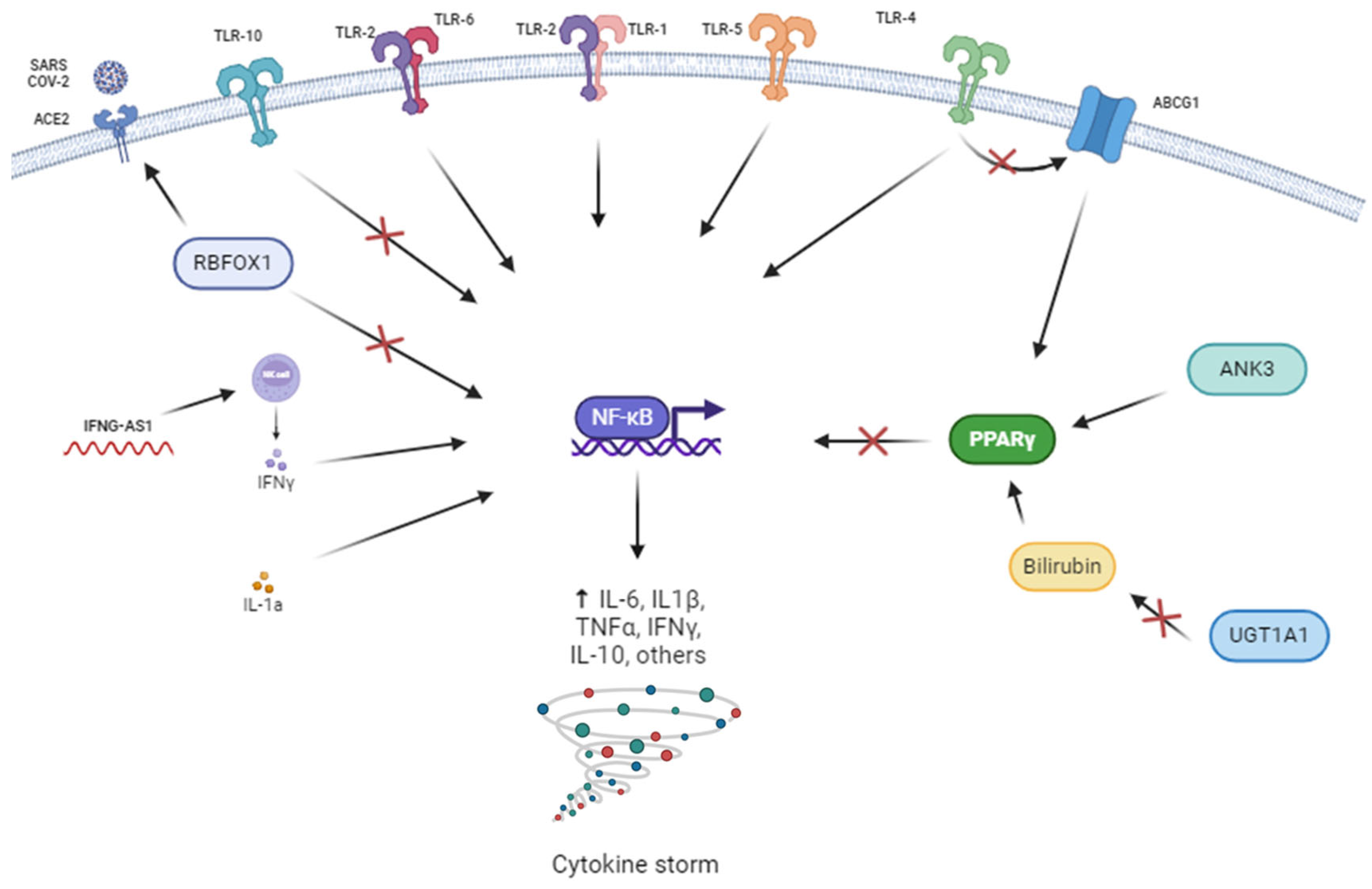 Biomedicines 13 00553 g004