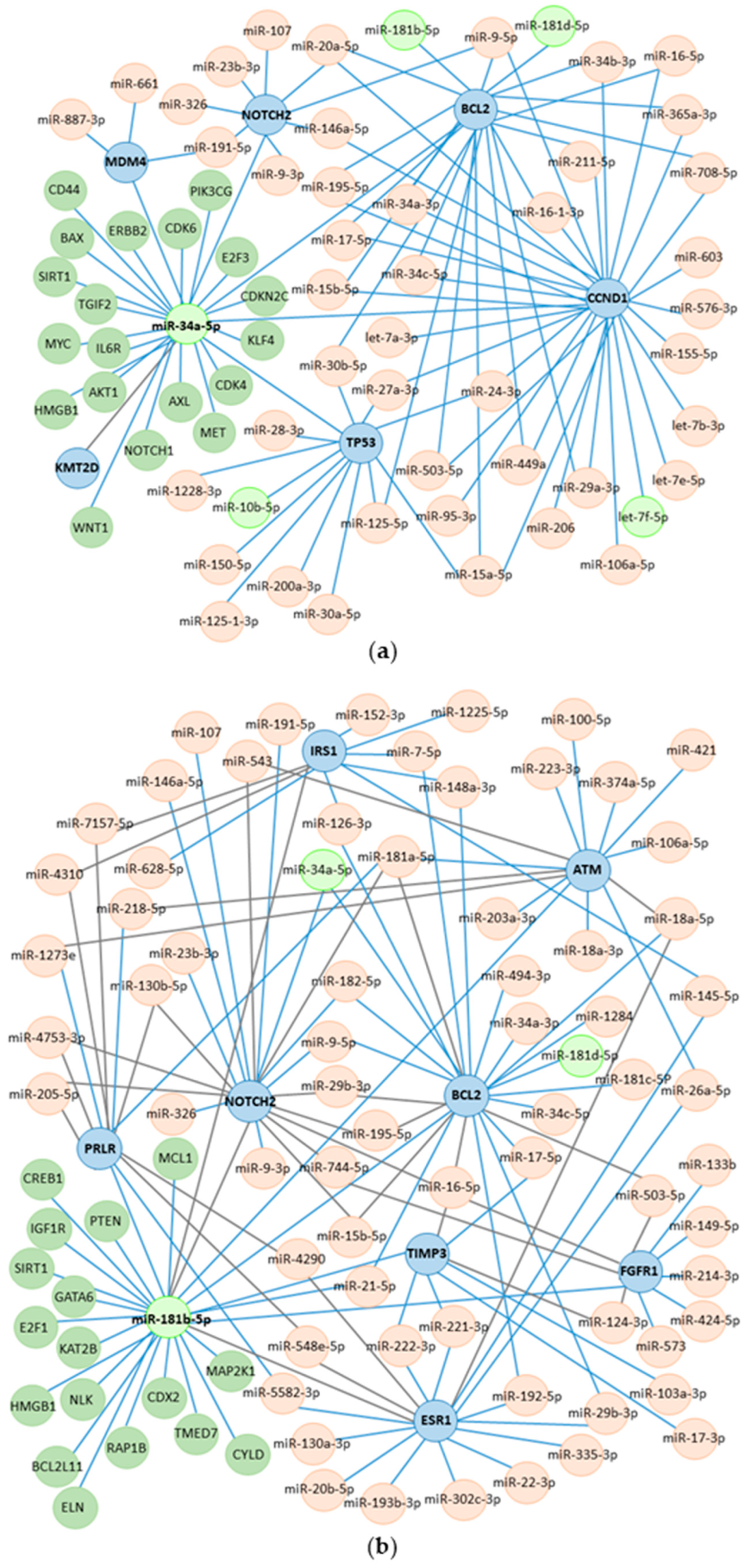 Biomedicines 13 00560 g005