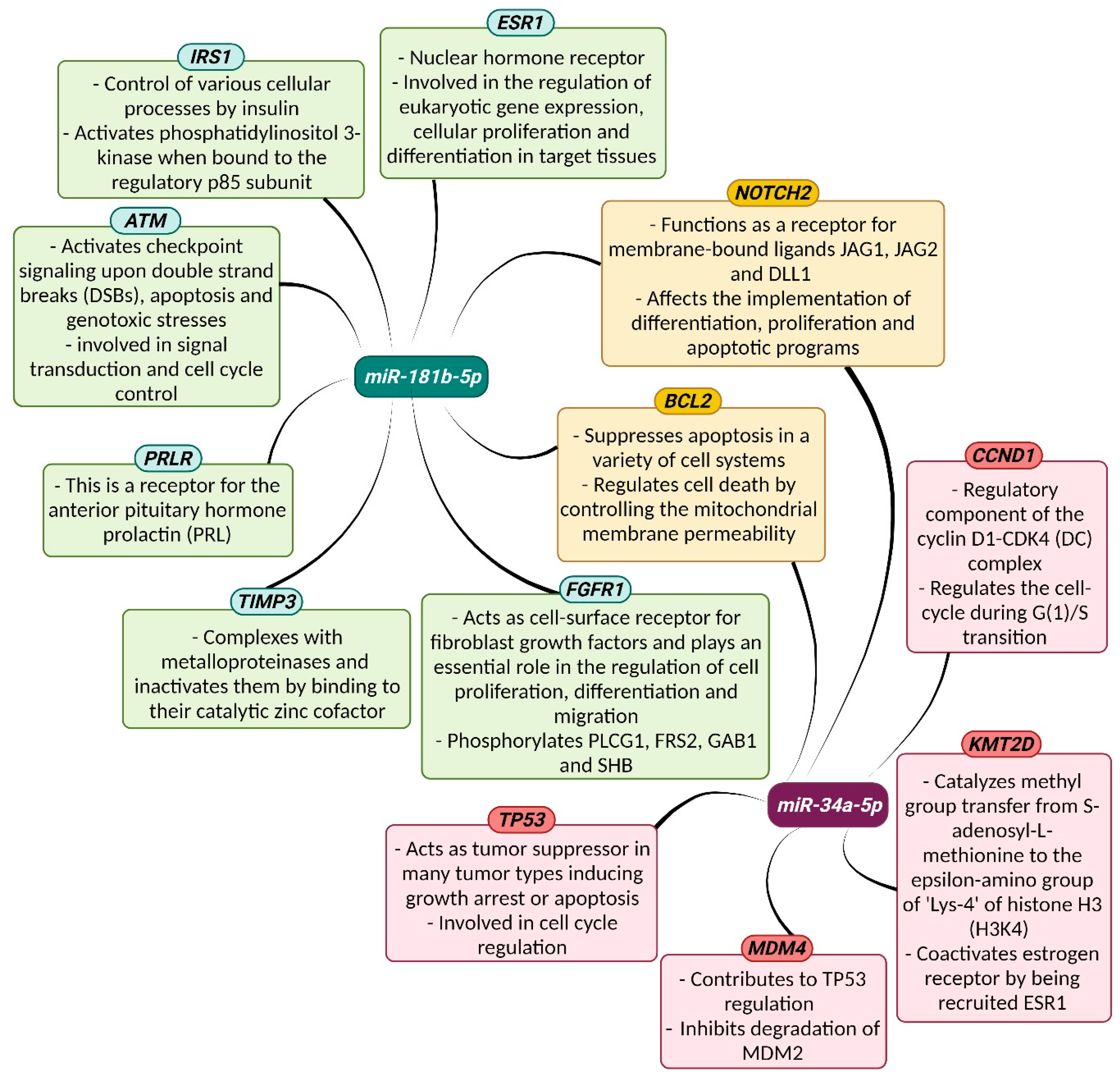 Biomedicines 13 00560 g006