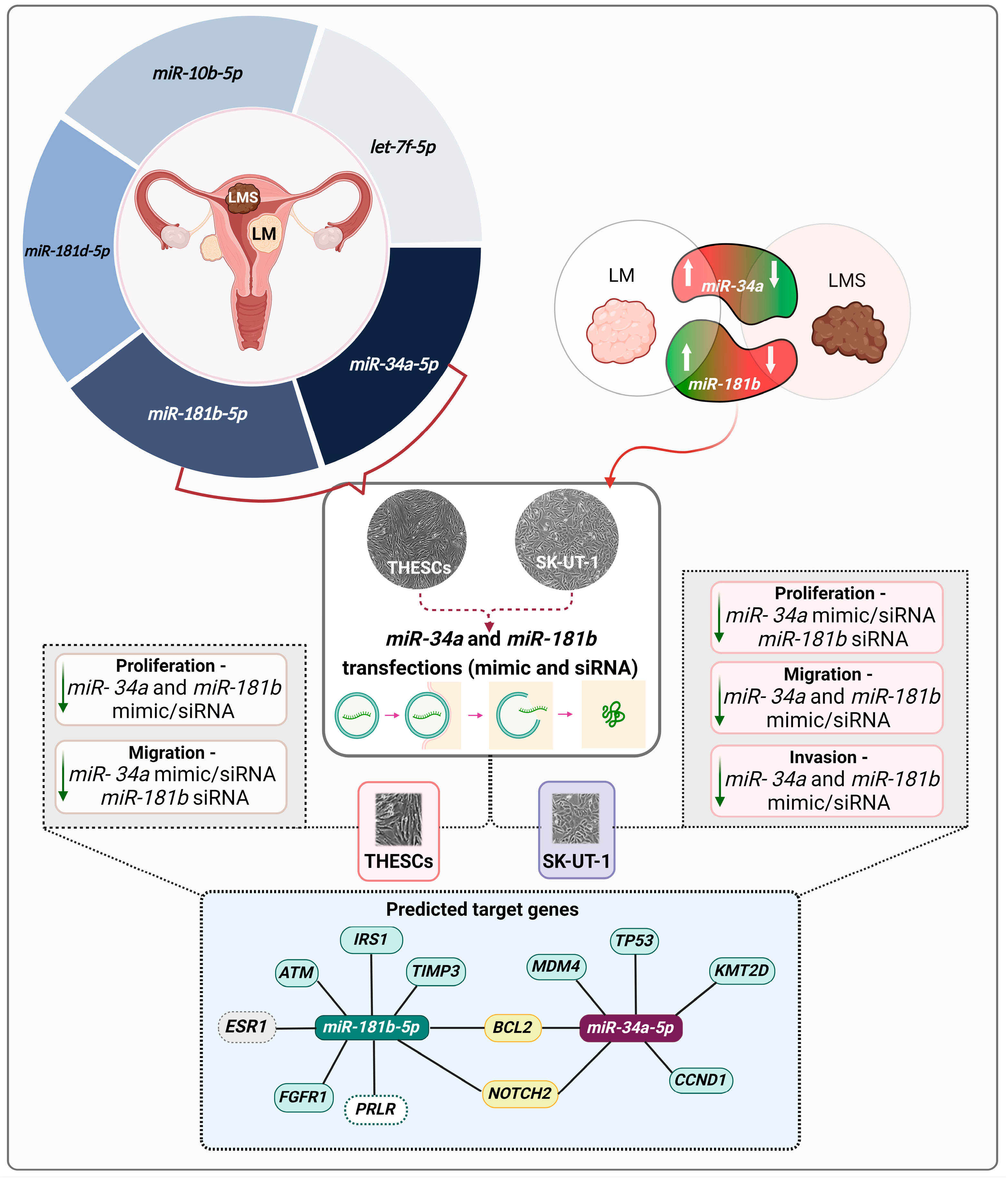 Biomedicines 13 00560 g007
