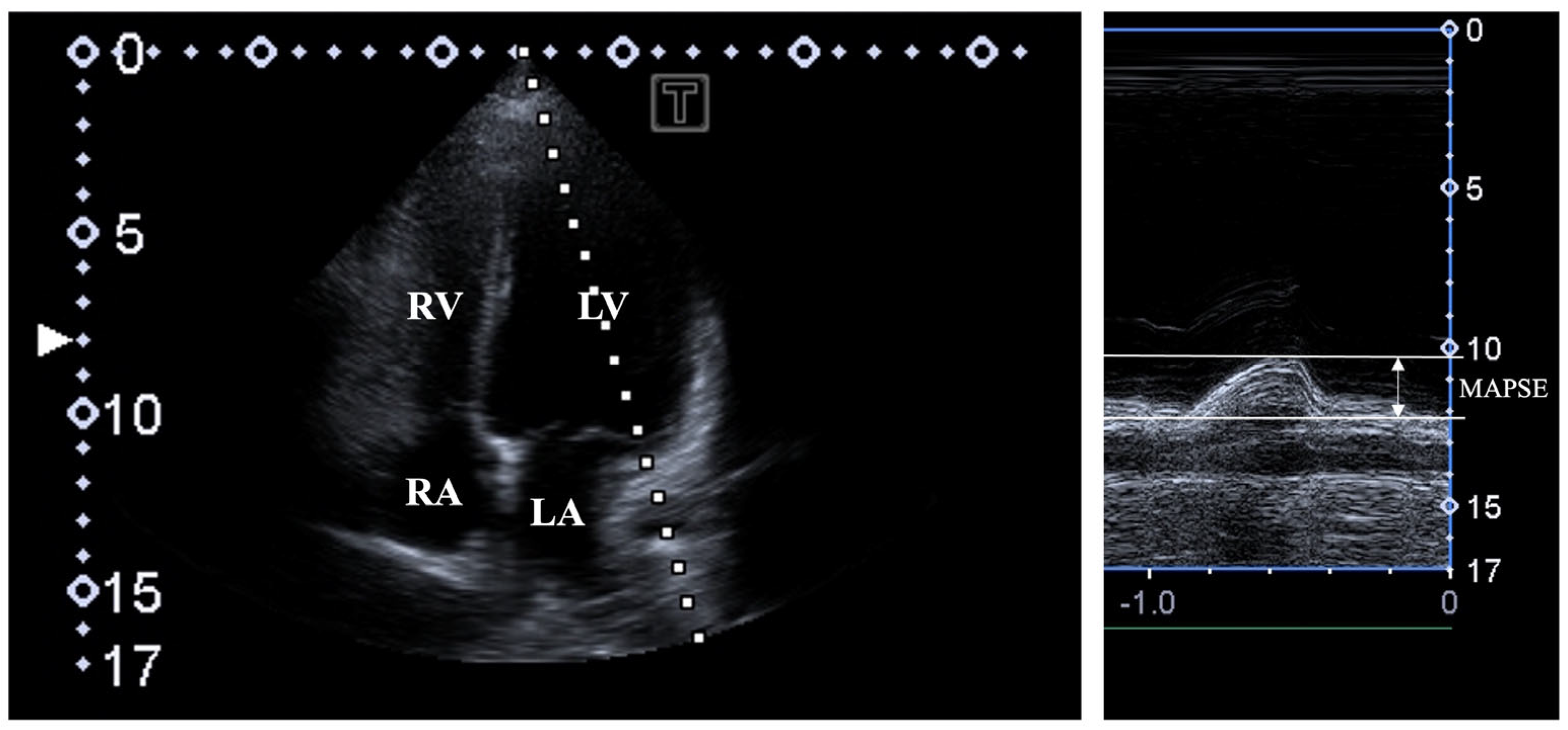 Biomedicines 13 00625 g001