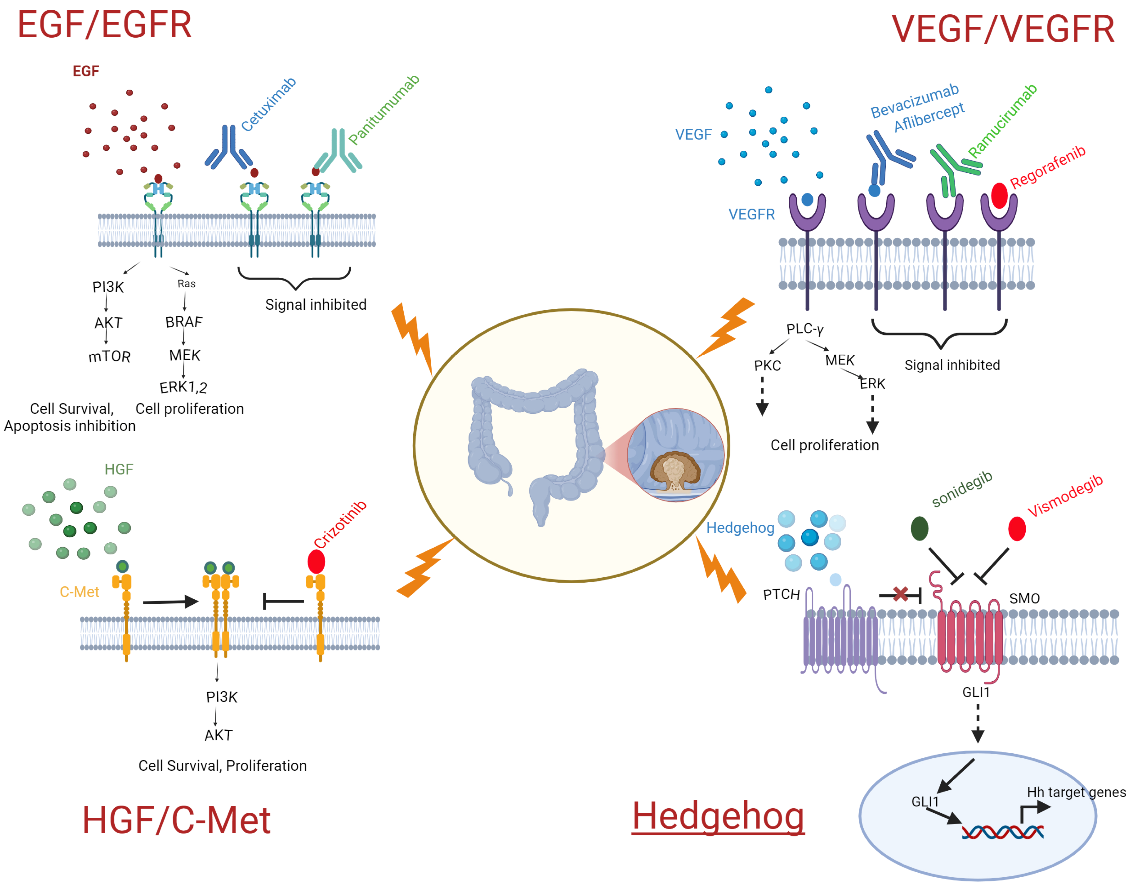 Biomedicines 13 00642 g001 Biomedicines 13 00642 g001