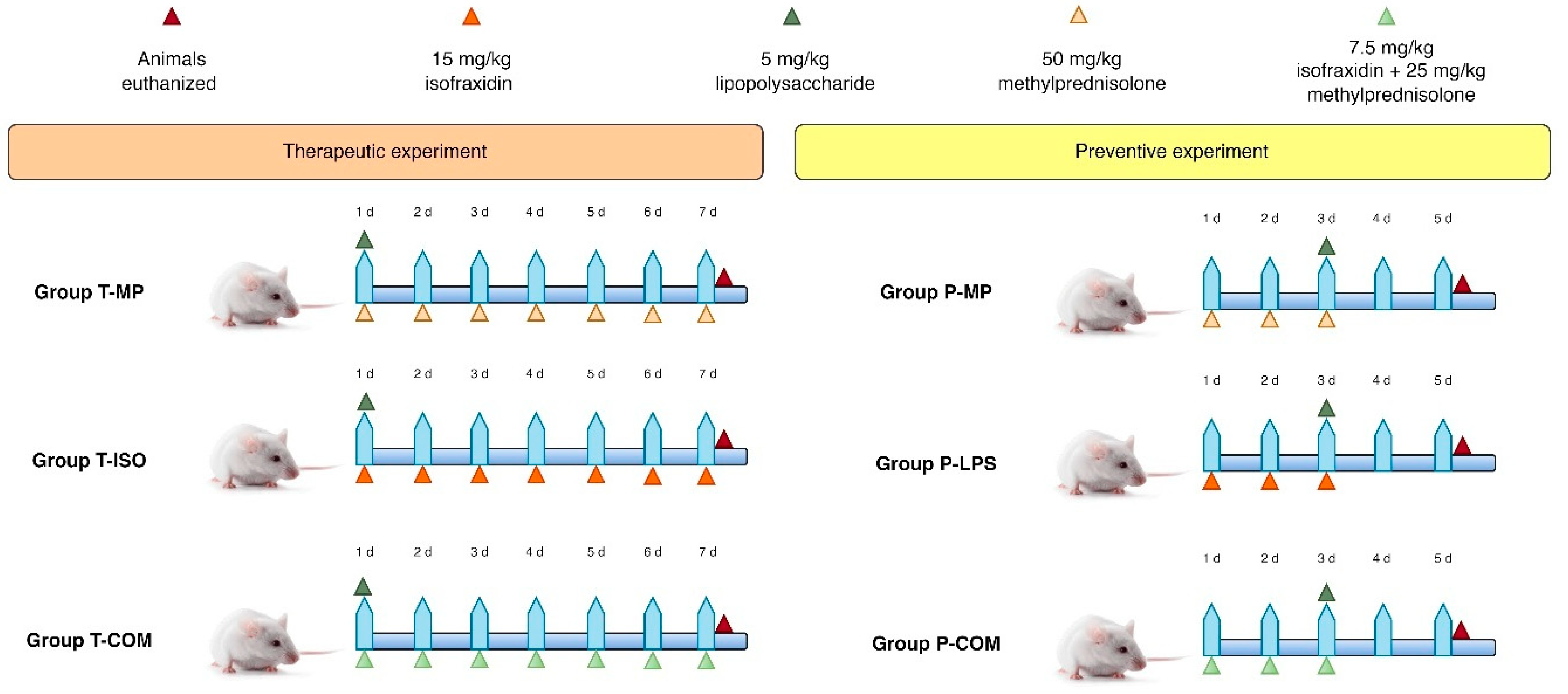 Biomedicines 13 00653 g001