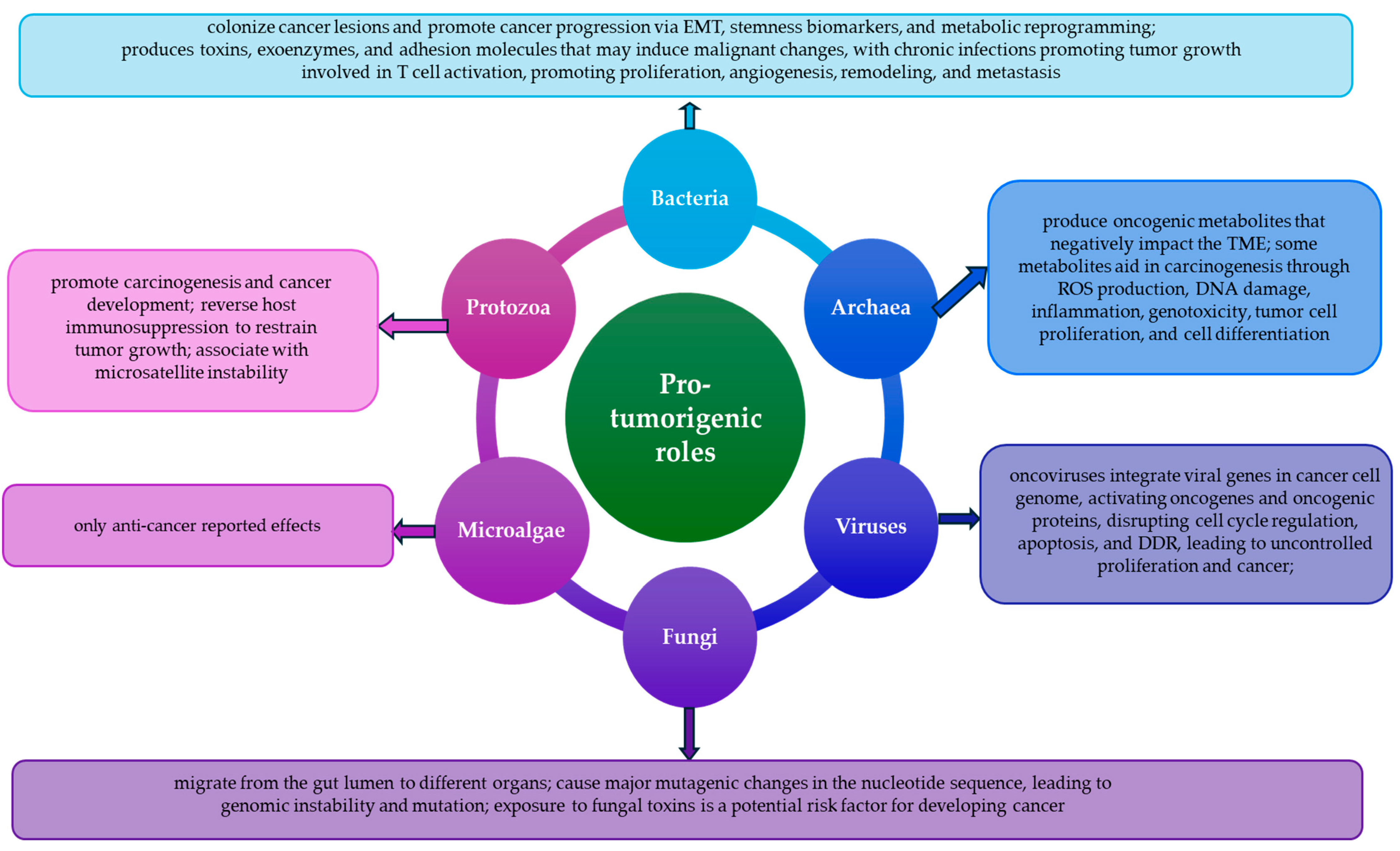 Biomedicines 13 00665 g001