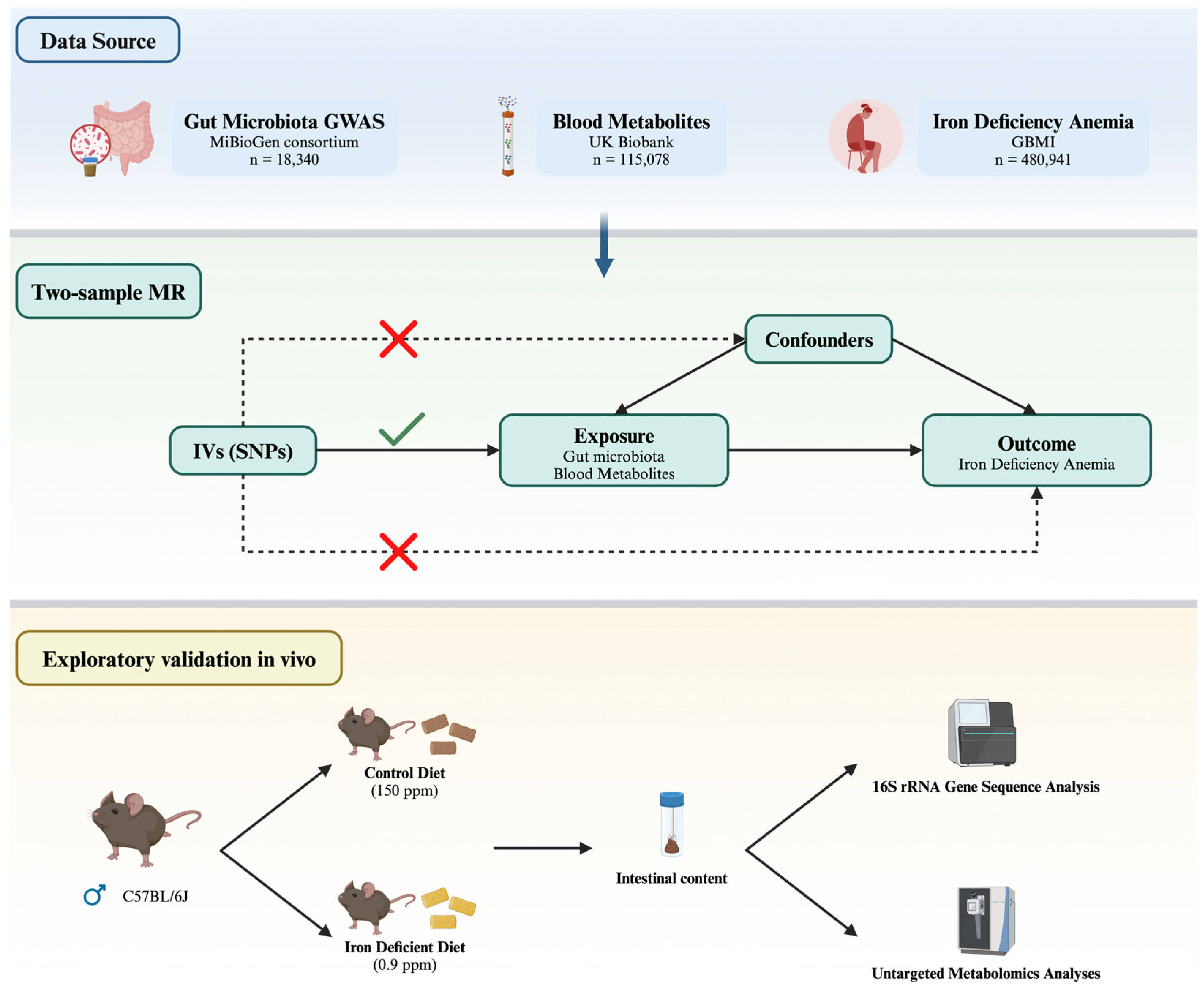 Biomedicines 13 00677 g001