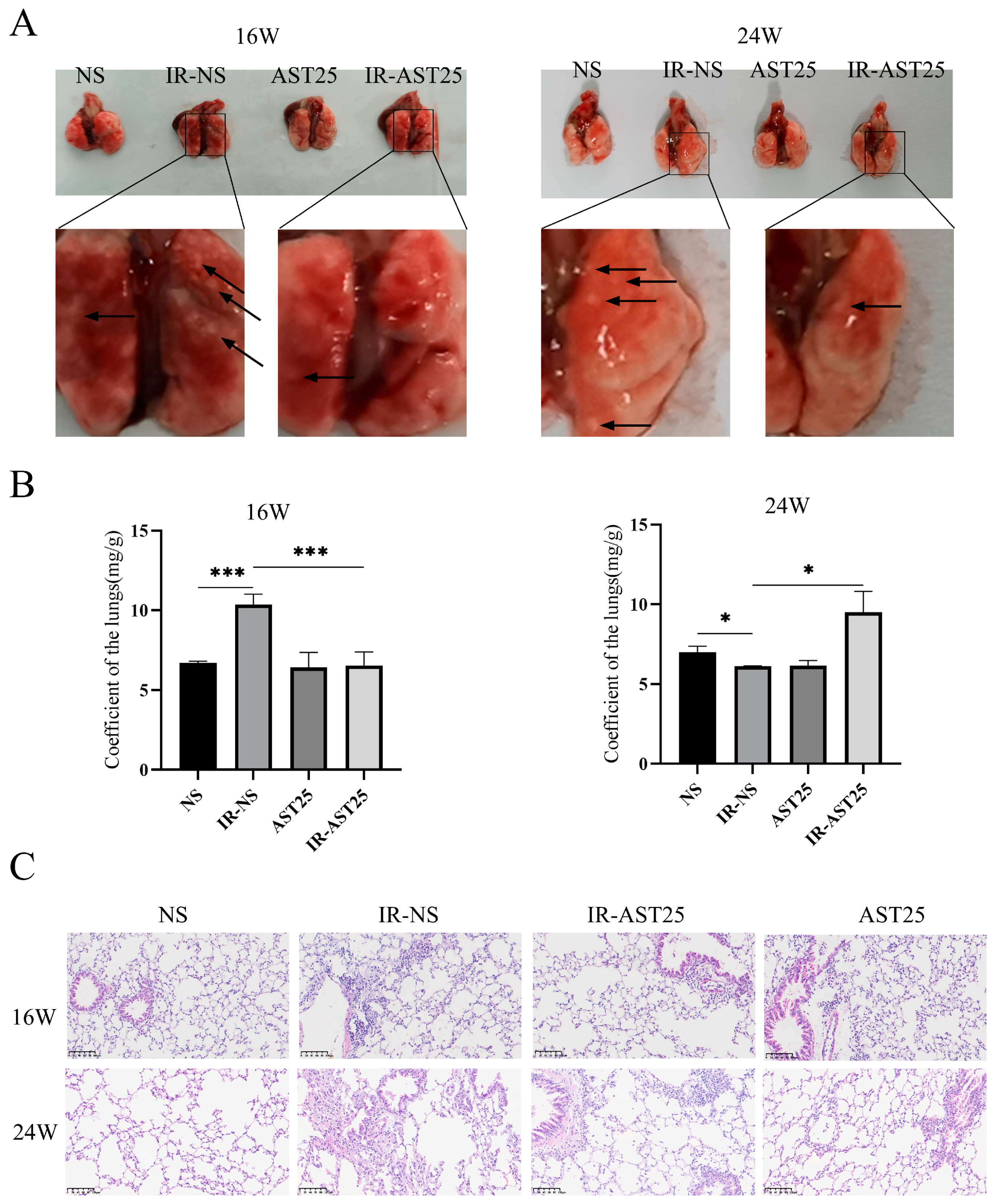 Biomedicines 13 00689 g002