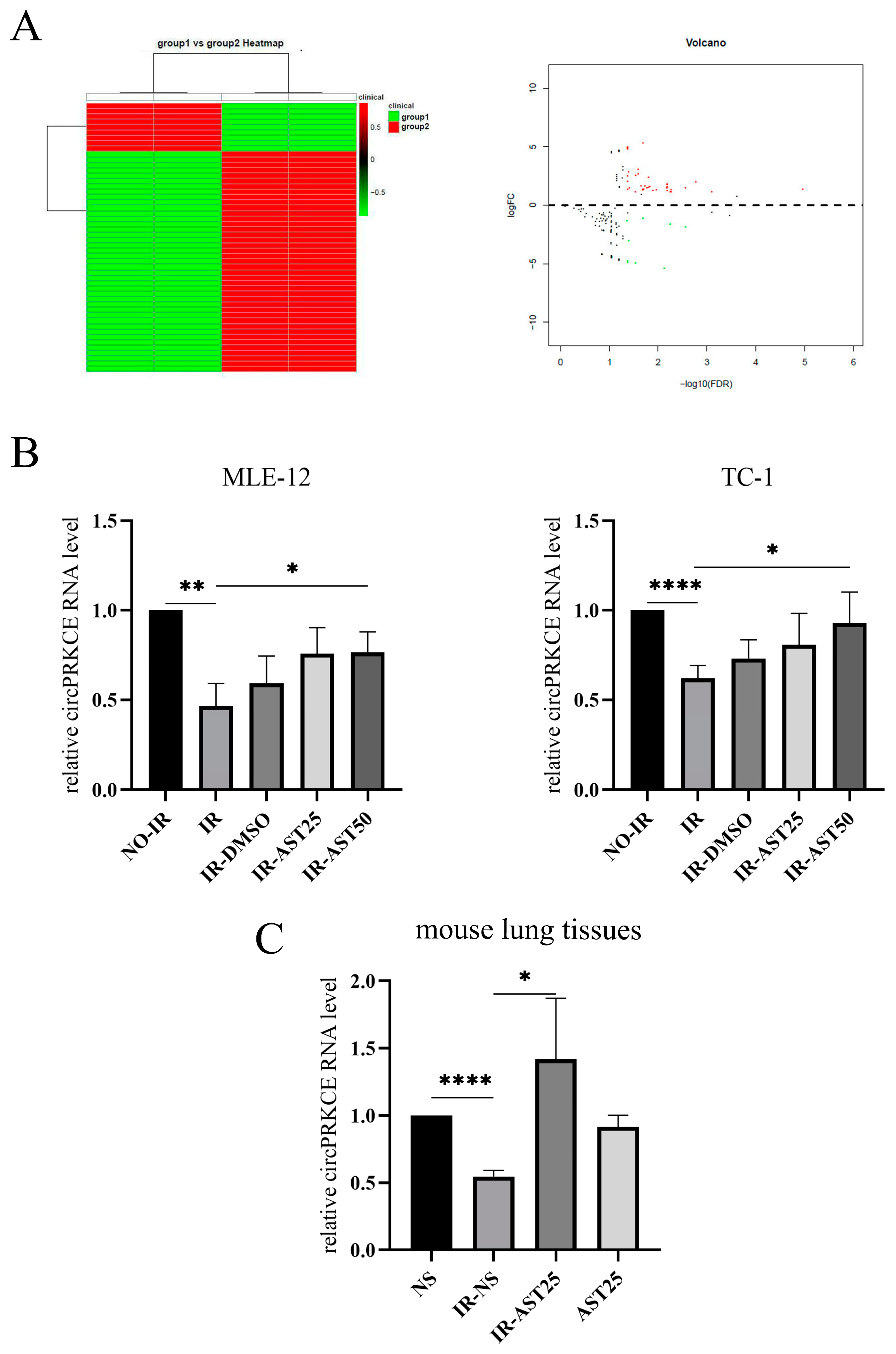 Biomedicines 13 00689 g005