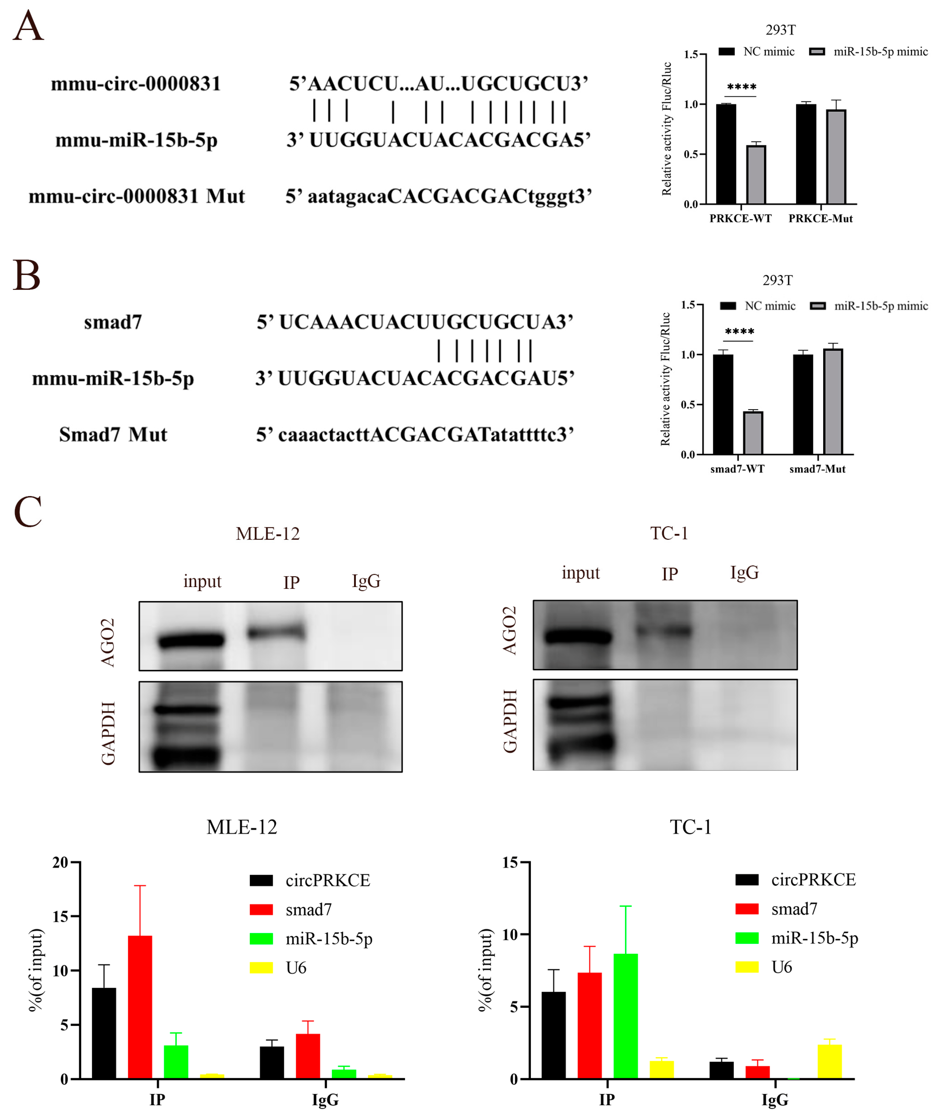 Biomedicines 13 00689 g008