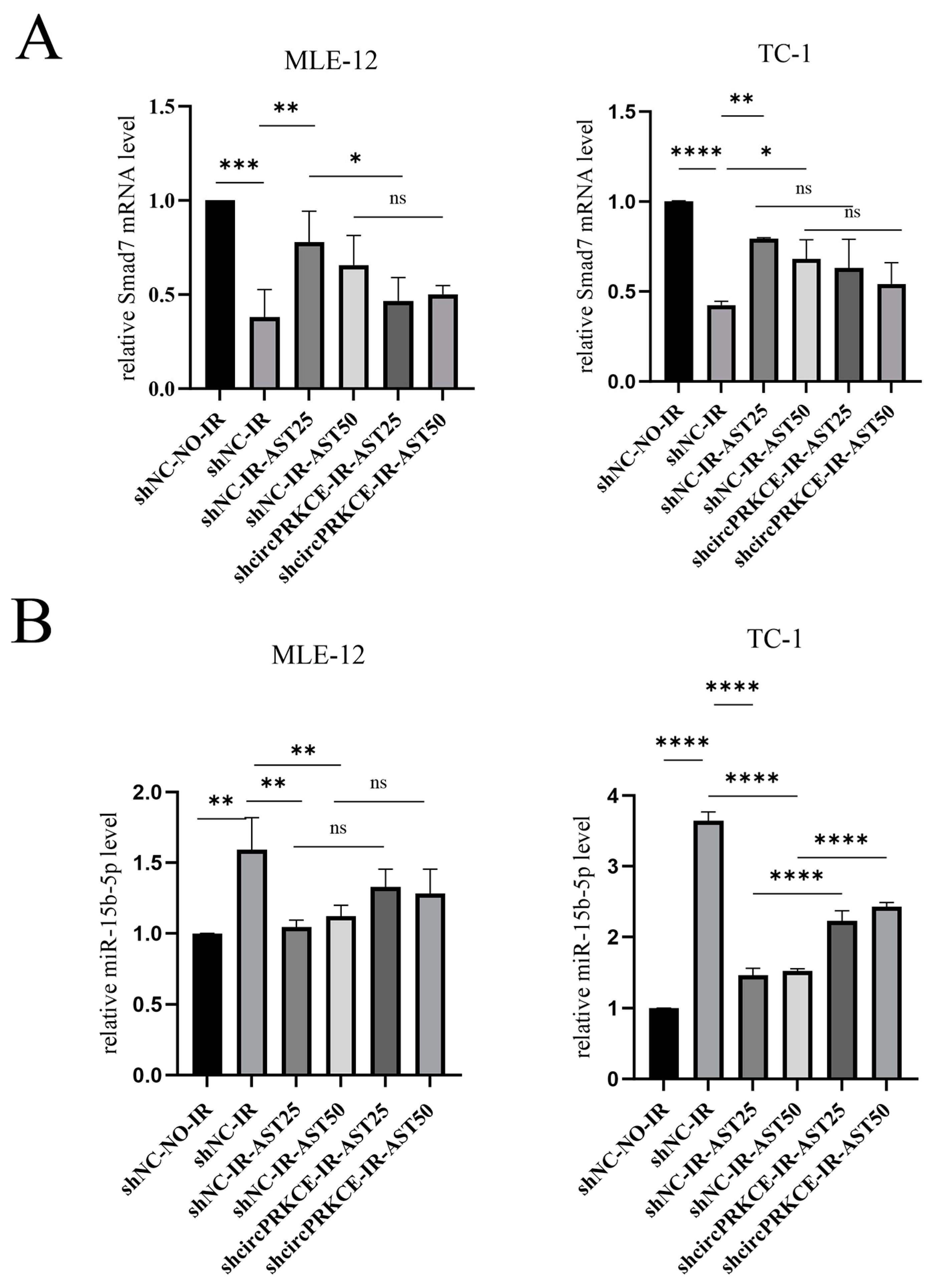Biomedicines 13 00689 g010